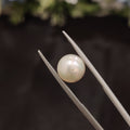 Pearl | Pearl 48 | 4.45 Carat