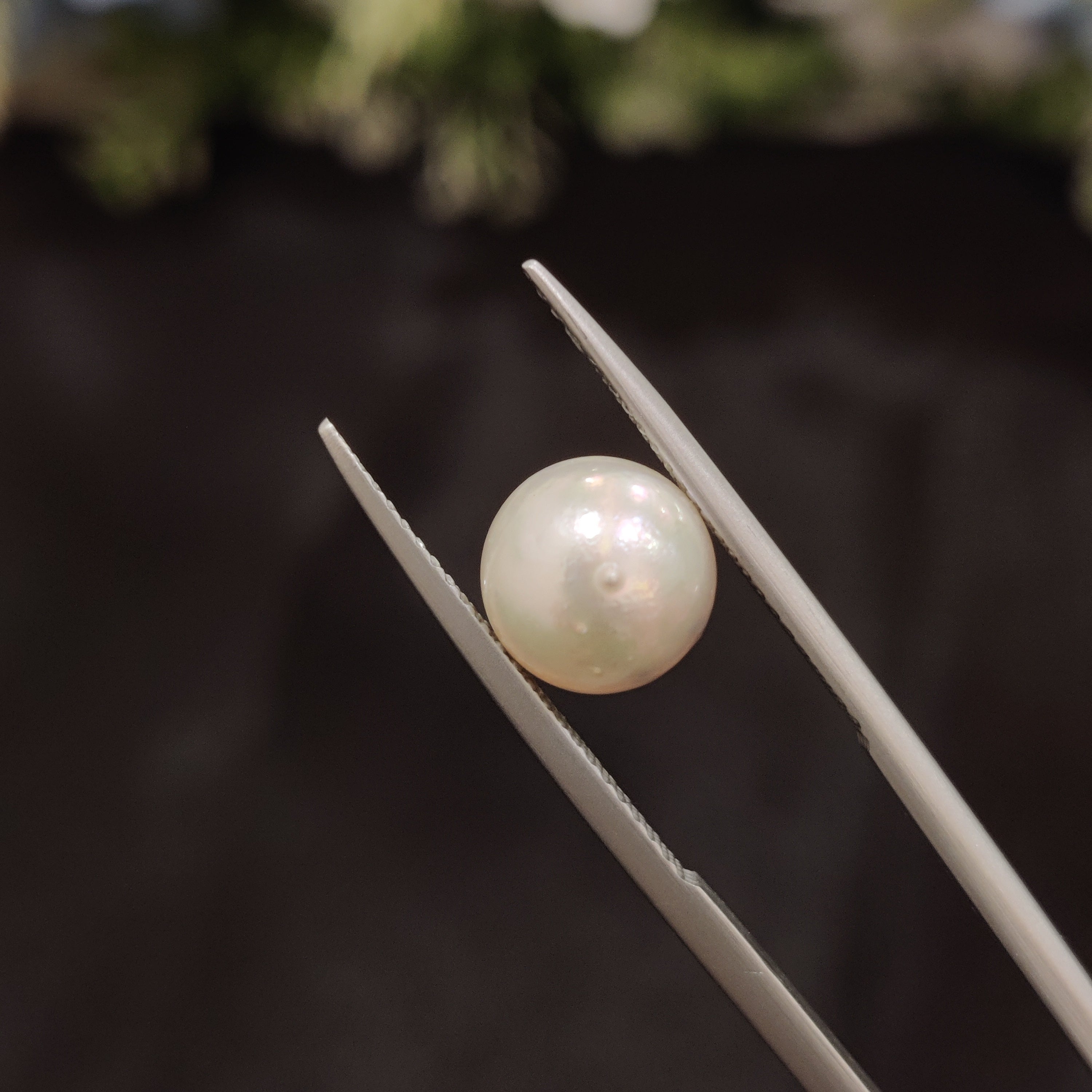 Pearl | Pearl 48 | 4.45 Carat