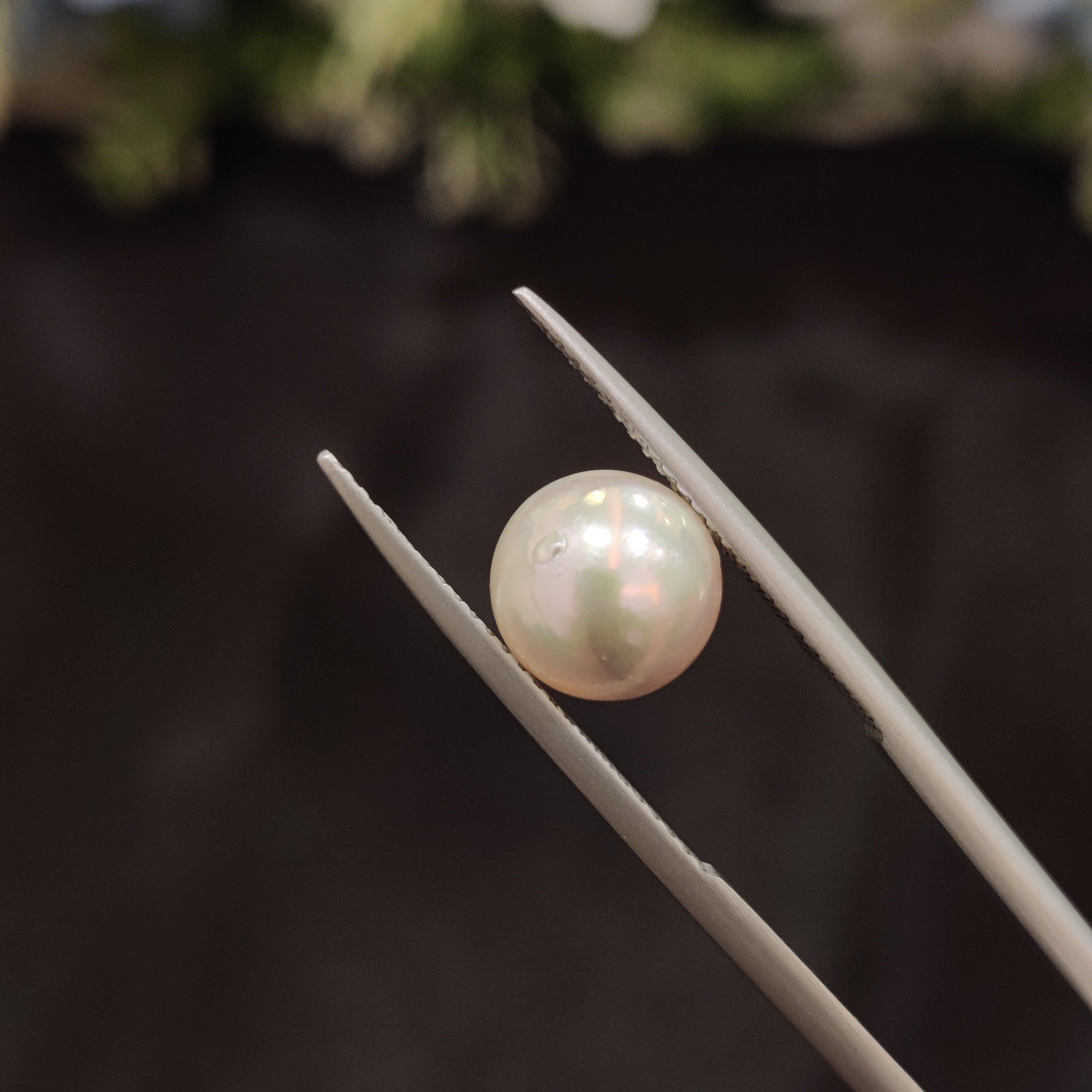 Pearl | Pearl 48 | 4.45 Carat
