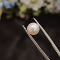 Pearl | Pearl 54 | 3.82 Carat
