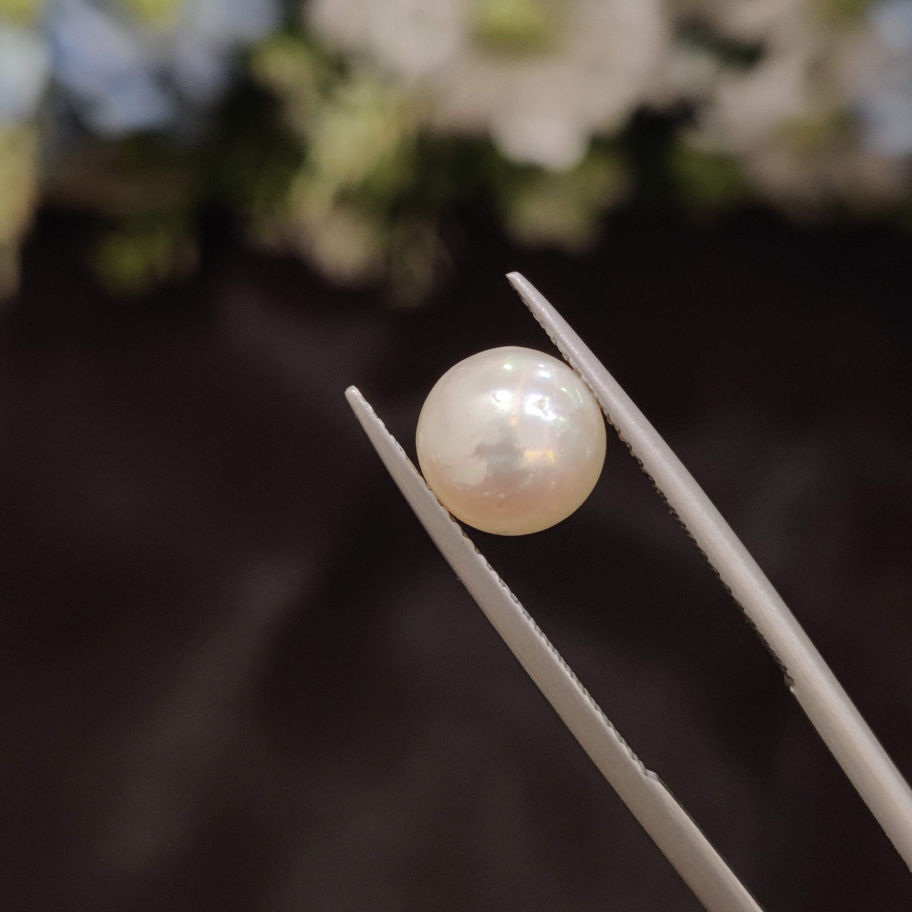Pearl | Pearl 54 | 3.82 Carat