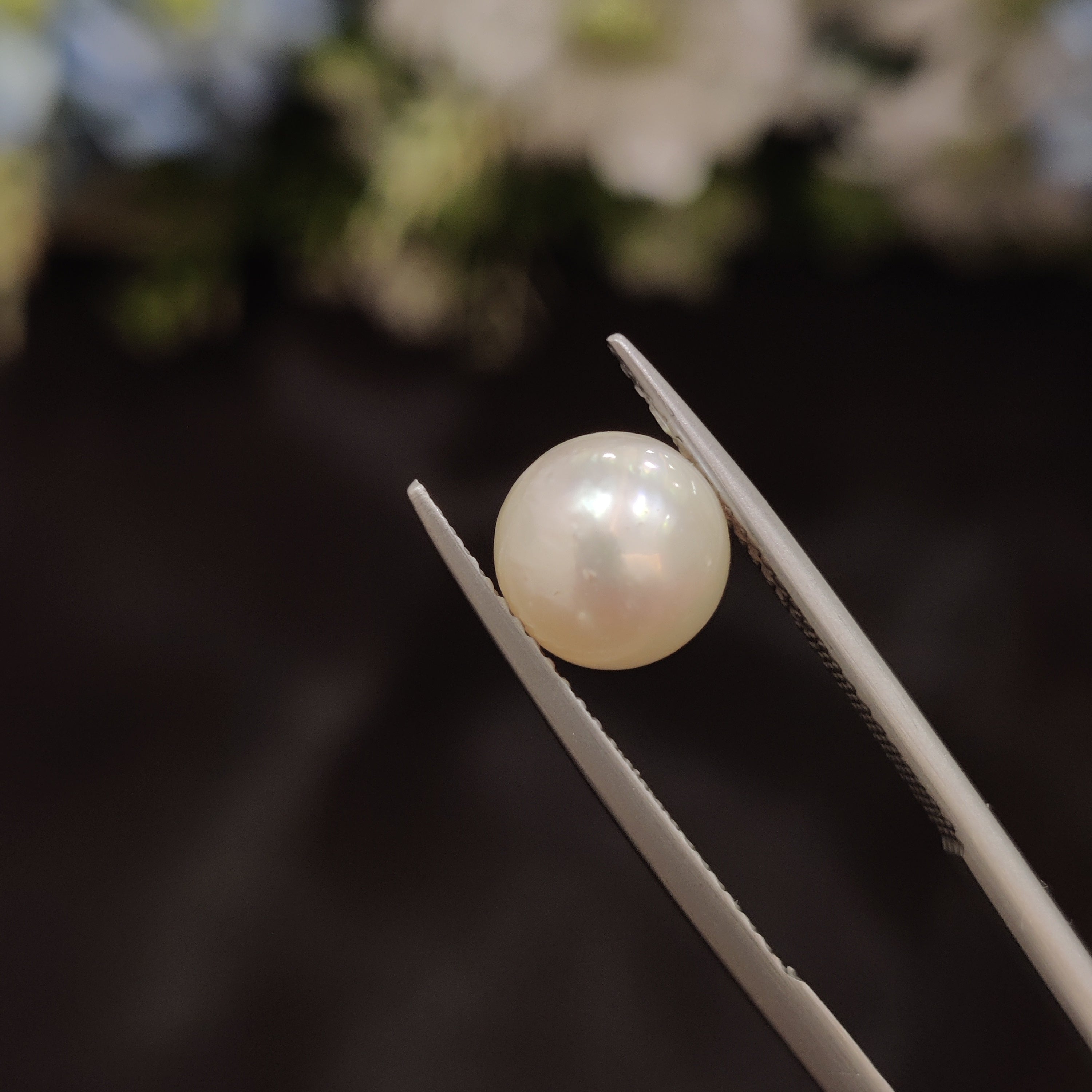 Pearl | Pearl 54 | 3.82 Carat