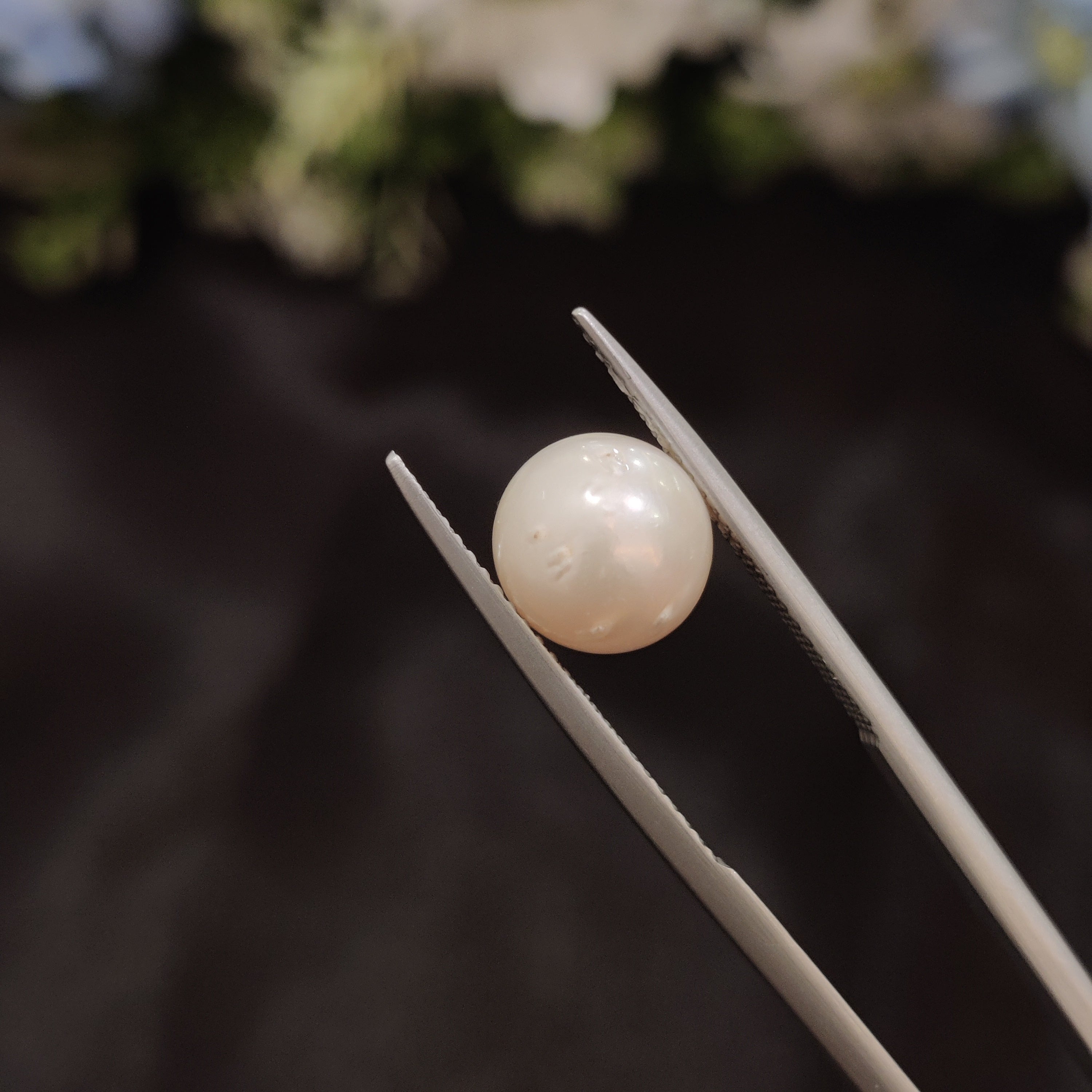 Pearl | Pearl 108 | 4.79 Carat