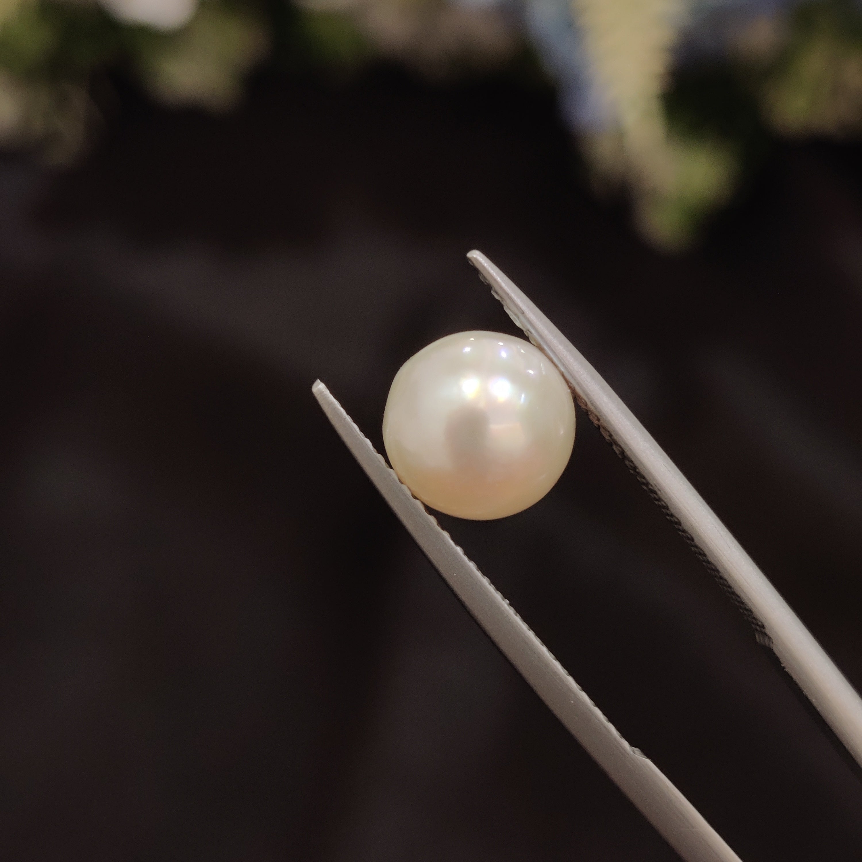 Pearl | Pearl 84 | 3.98 Carat