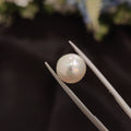 Pearl | Pearl 56 | 4.56 Carat
