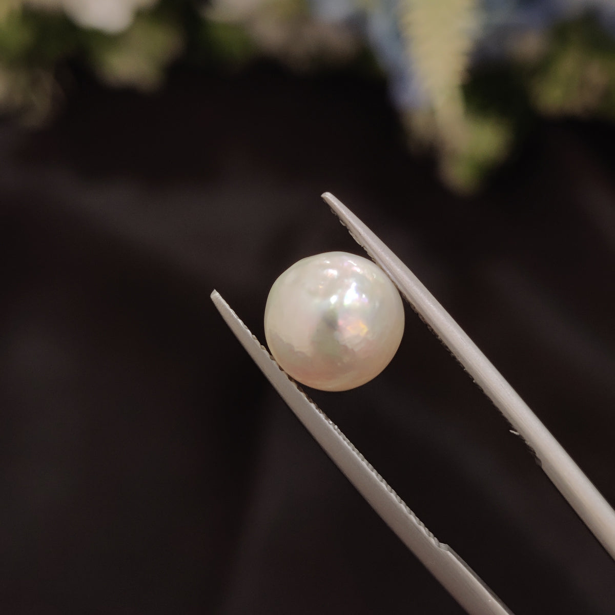Natural Pearl (Moti) | Pearl 56 | 4.56 Carat | Certified
