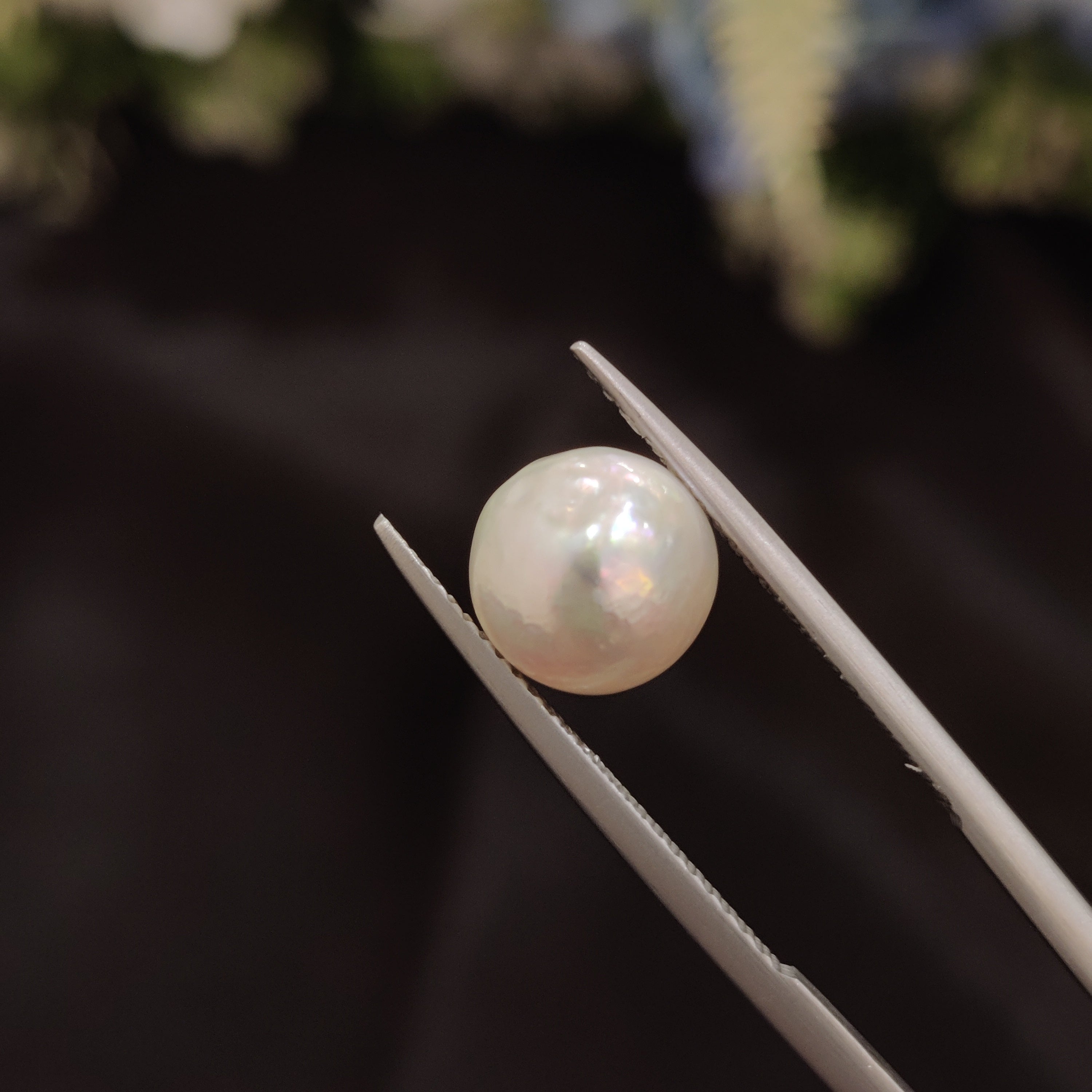 Pearl | Pearl 56 | 4.56 Carat