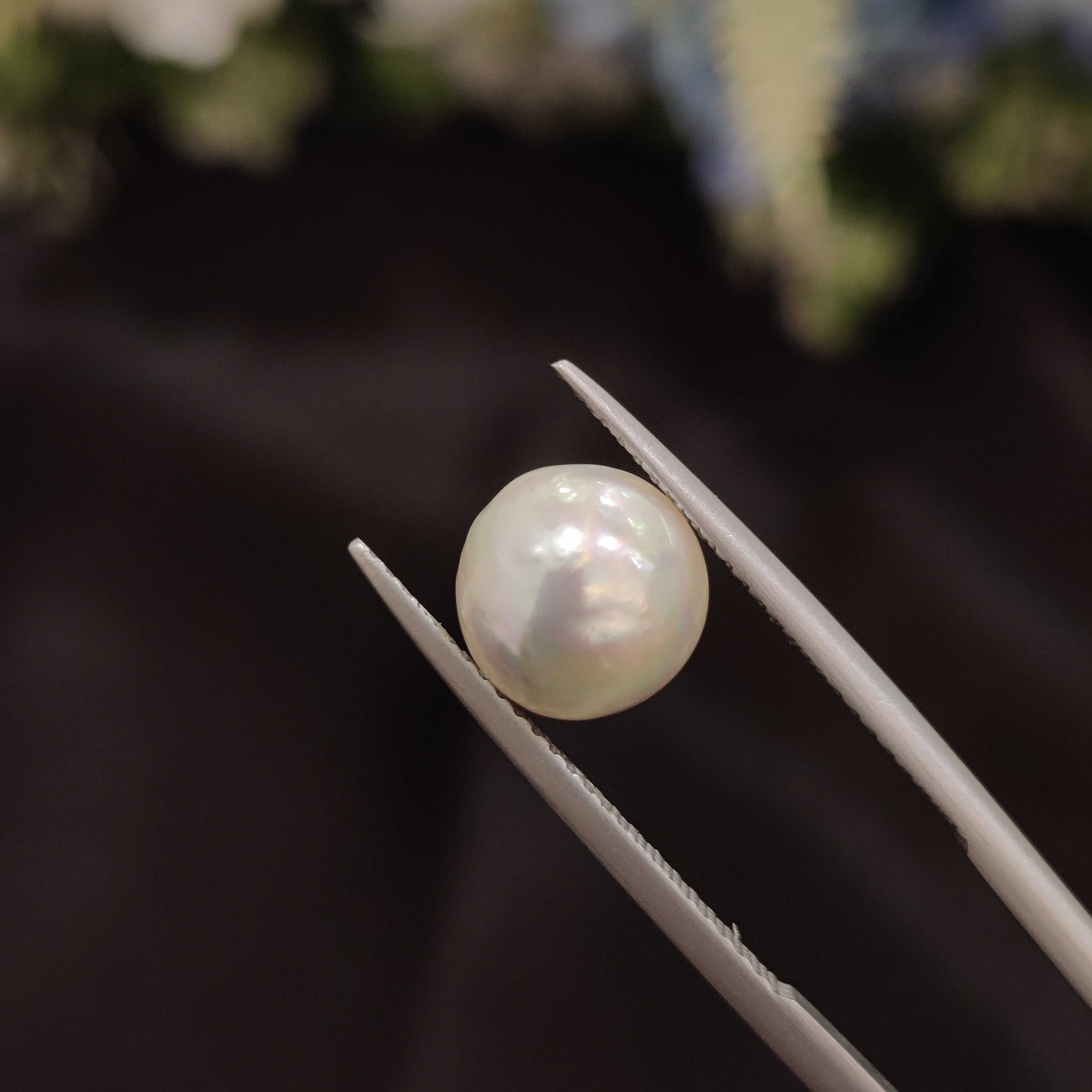 Pearl | Pearl 56 | 4.56 Carat