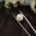 Pearl | Pearl 89 | 3.79 Carat