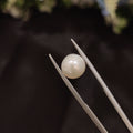 Pearl | Pearl 100 | 4.42 Carat