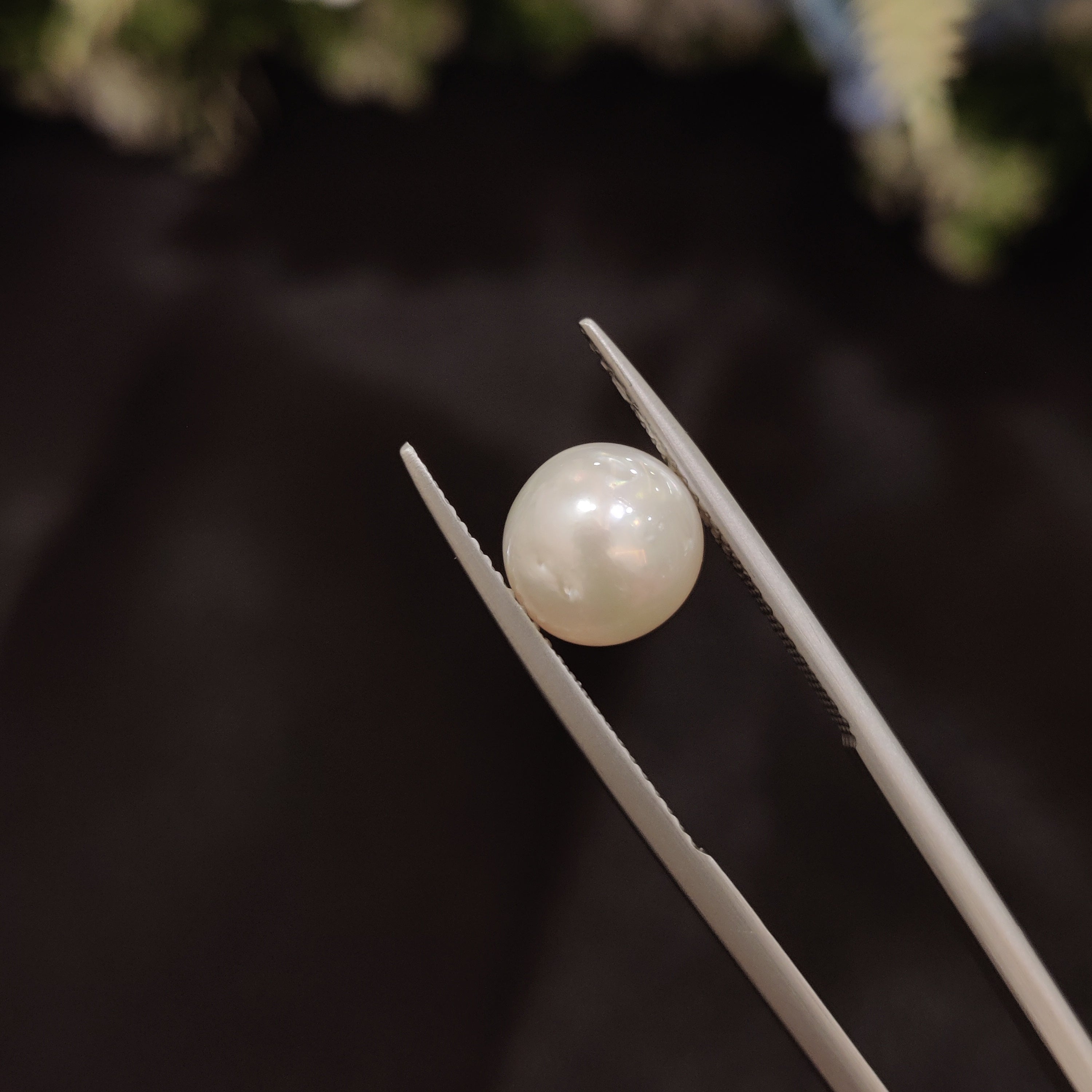 Pearl | Pearl 100 | 4.42 Carat