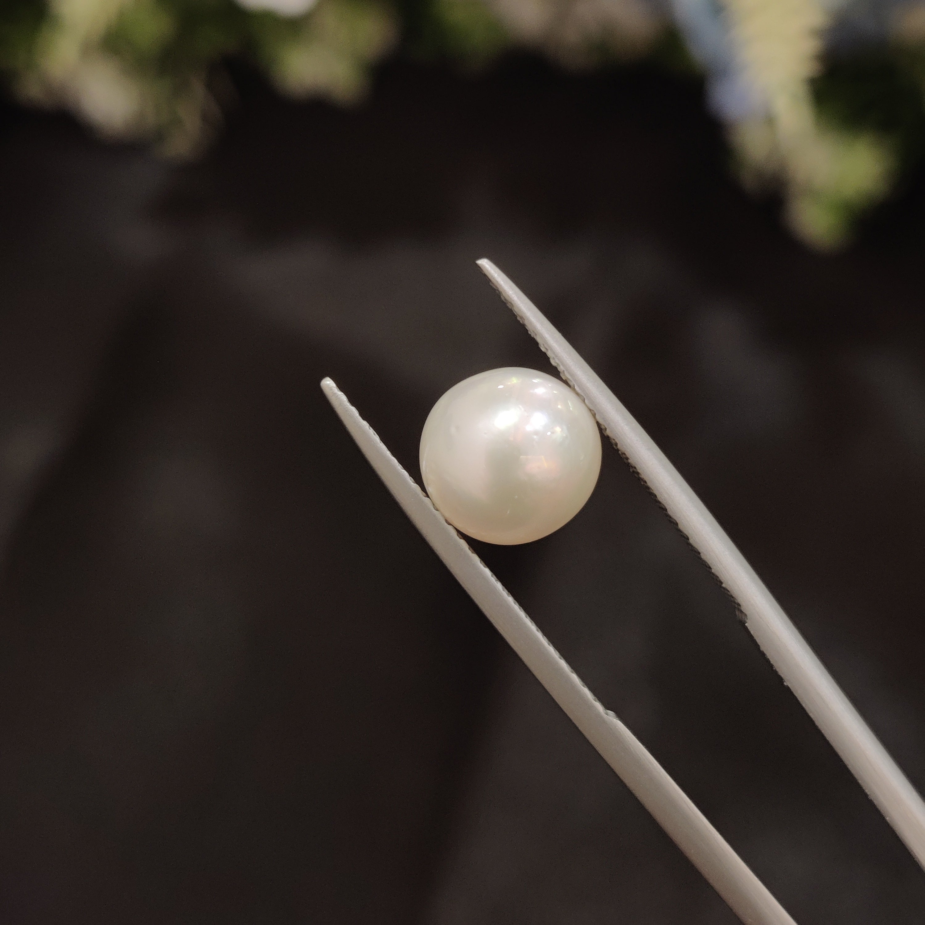 Pearl | Pearl 100 | 4.42 Carat
