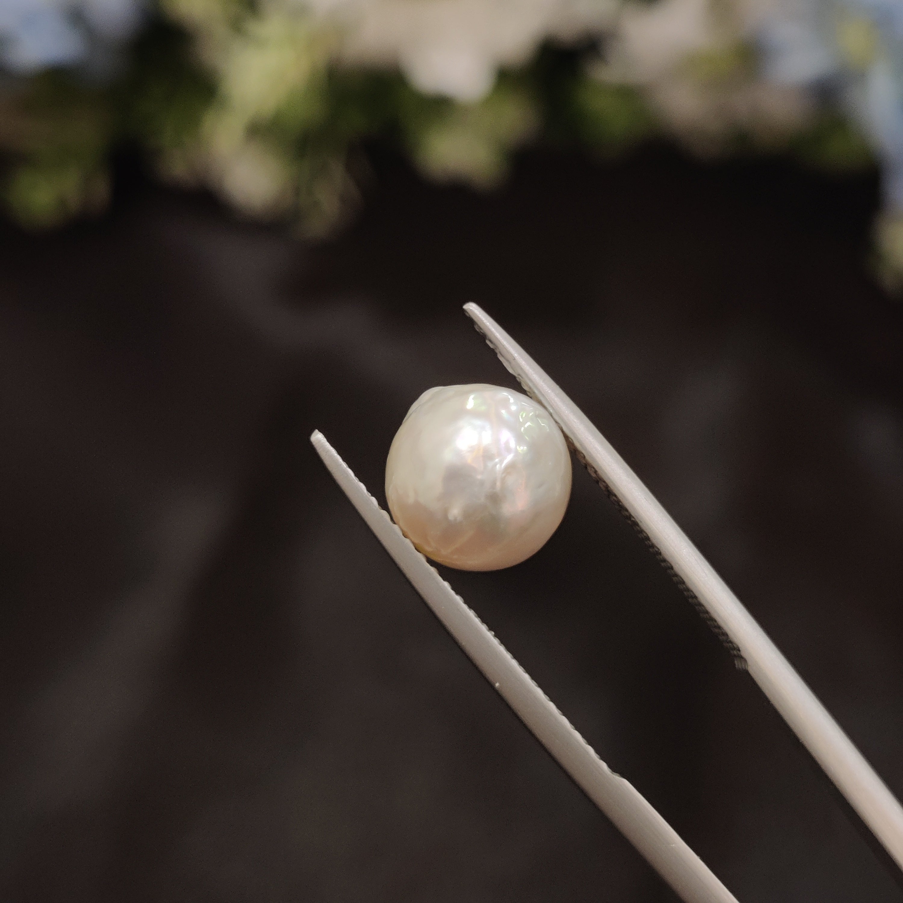Pearl | Pearl 116 | 4.87 Carat