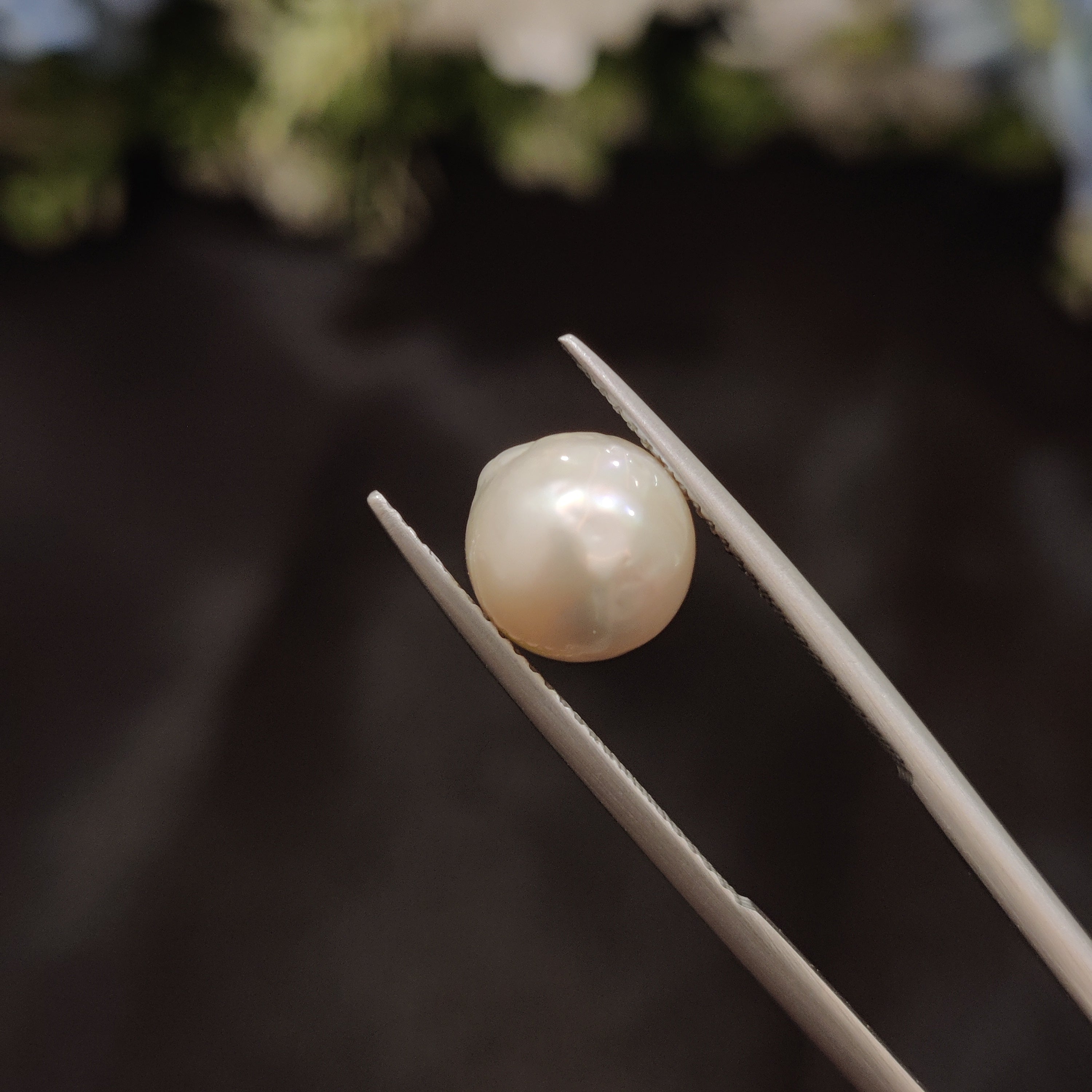 Pearl | Pearl 116 | 4.87 Carat