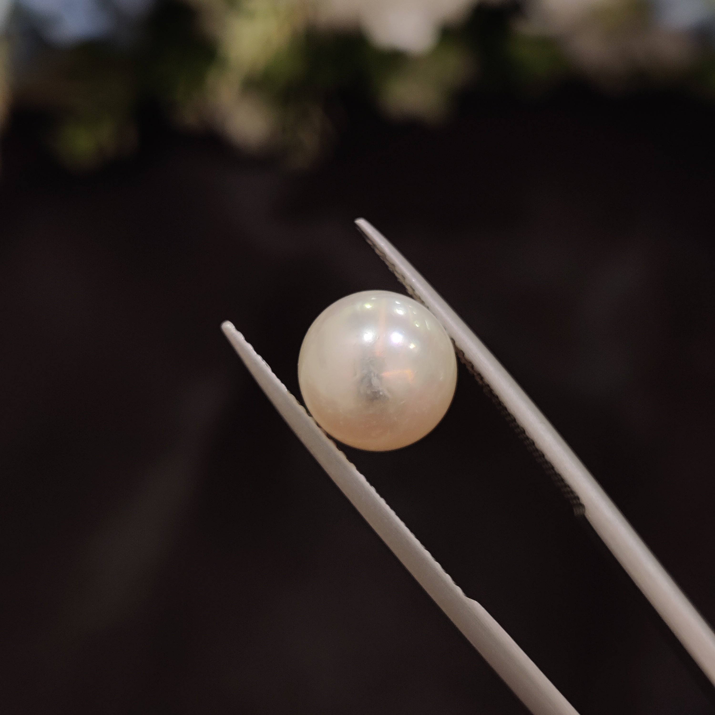 Pearl | Pearl 49 | 5.44 Carat