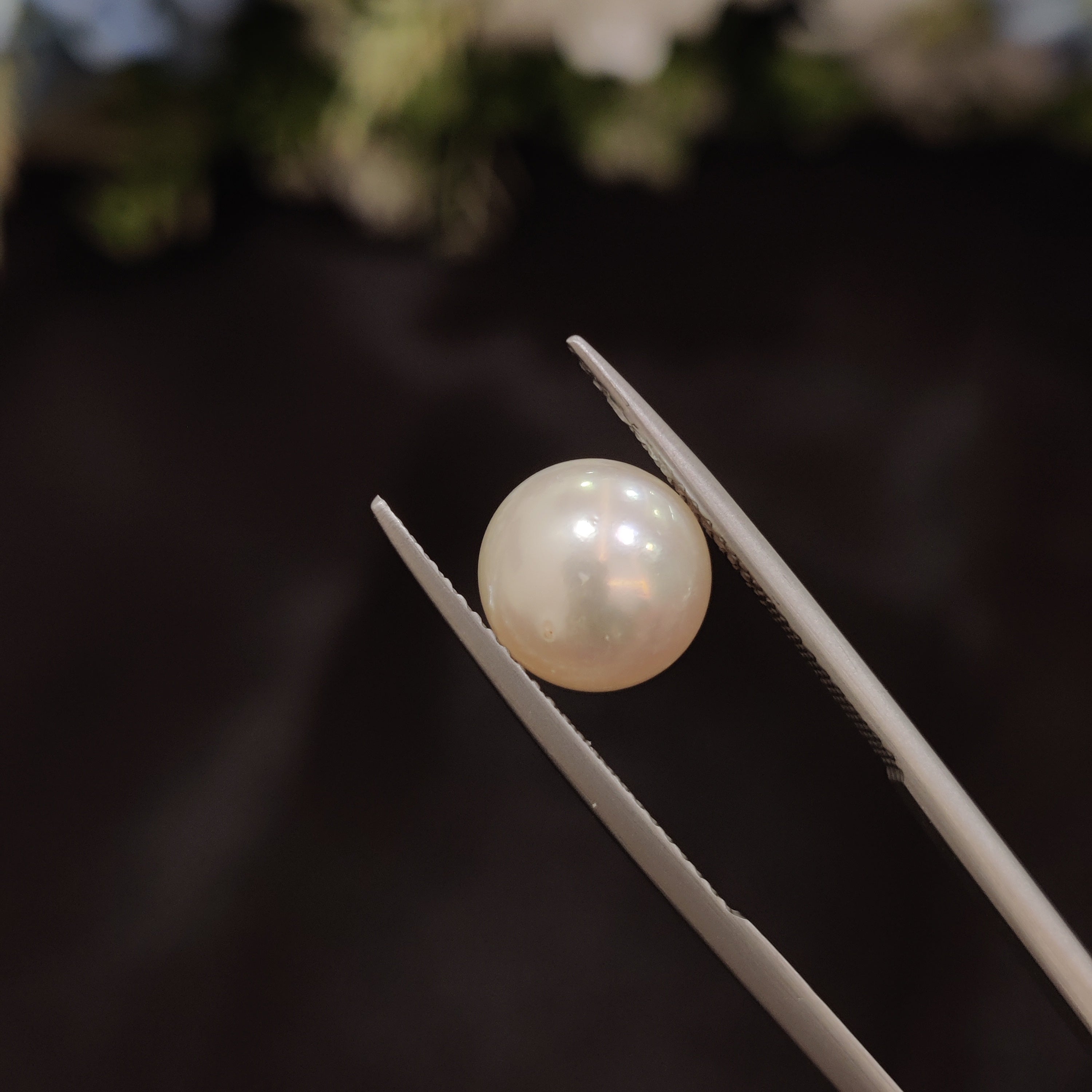 Pearl | Pearl 49 | 5.44 Carat