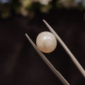 Pearl | Pearl 112 | 5.66 Carat