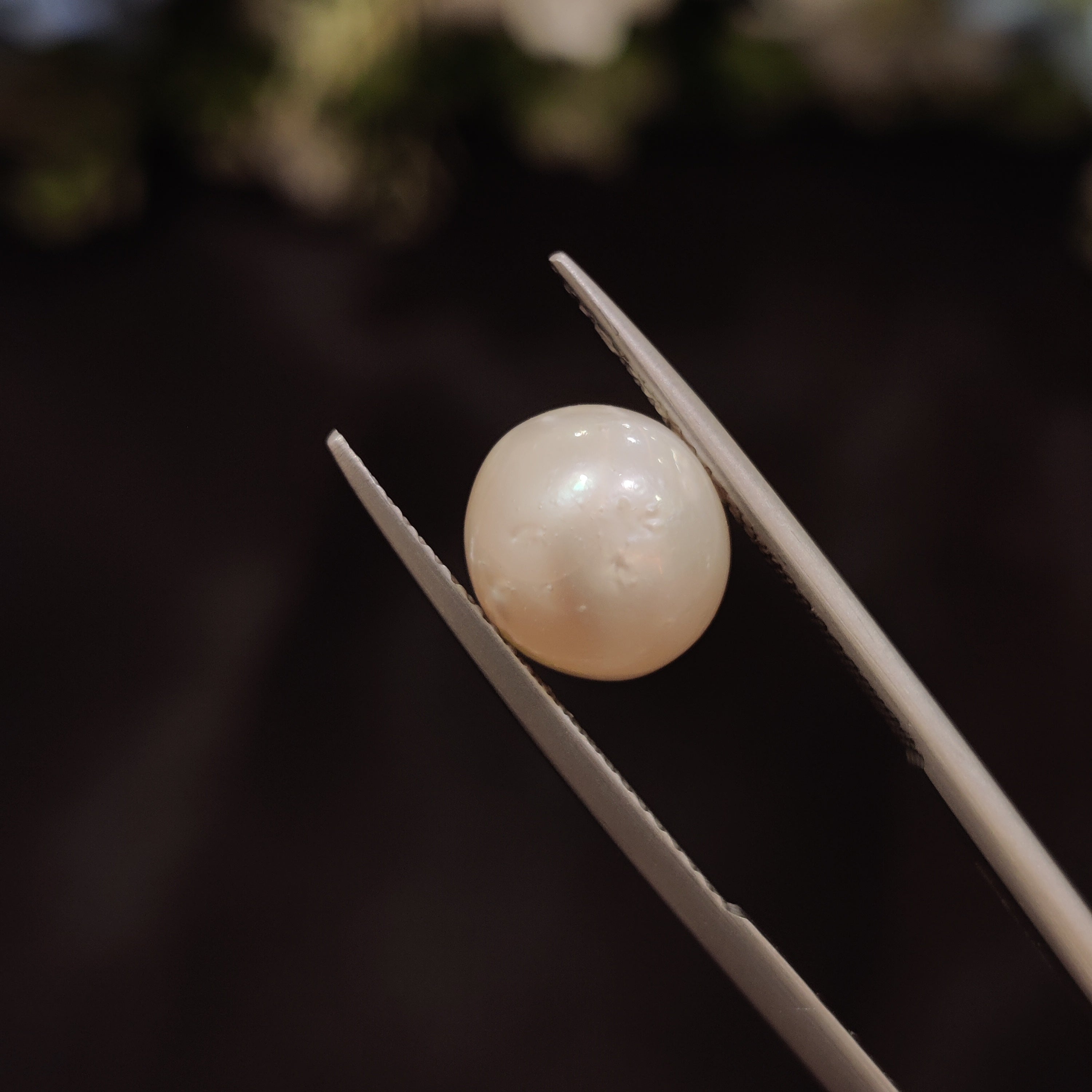 Pearl | Pearl 112 | 5.66 Carat