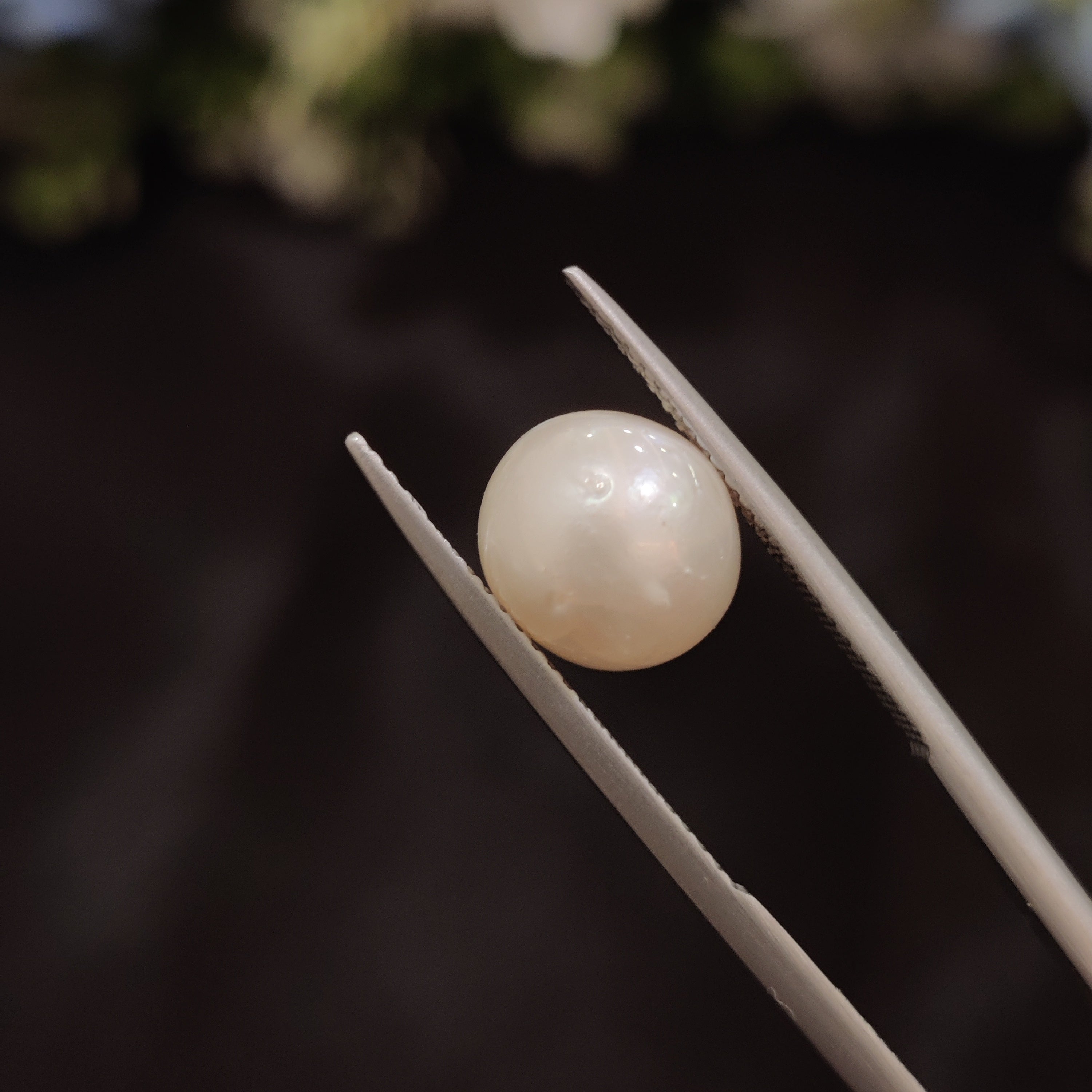 Pearl | Pearl 112 | 5.66 Carat