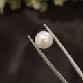 Pearl | Pearl 69 | 4.19 Carat