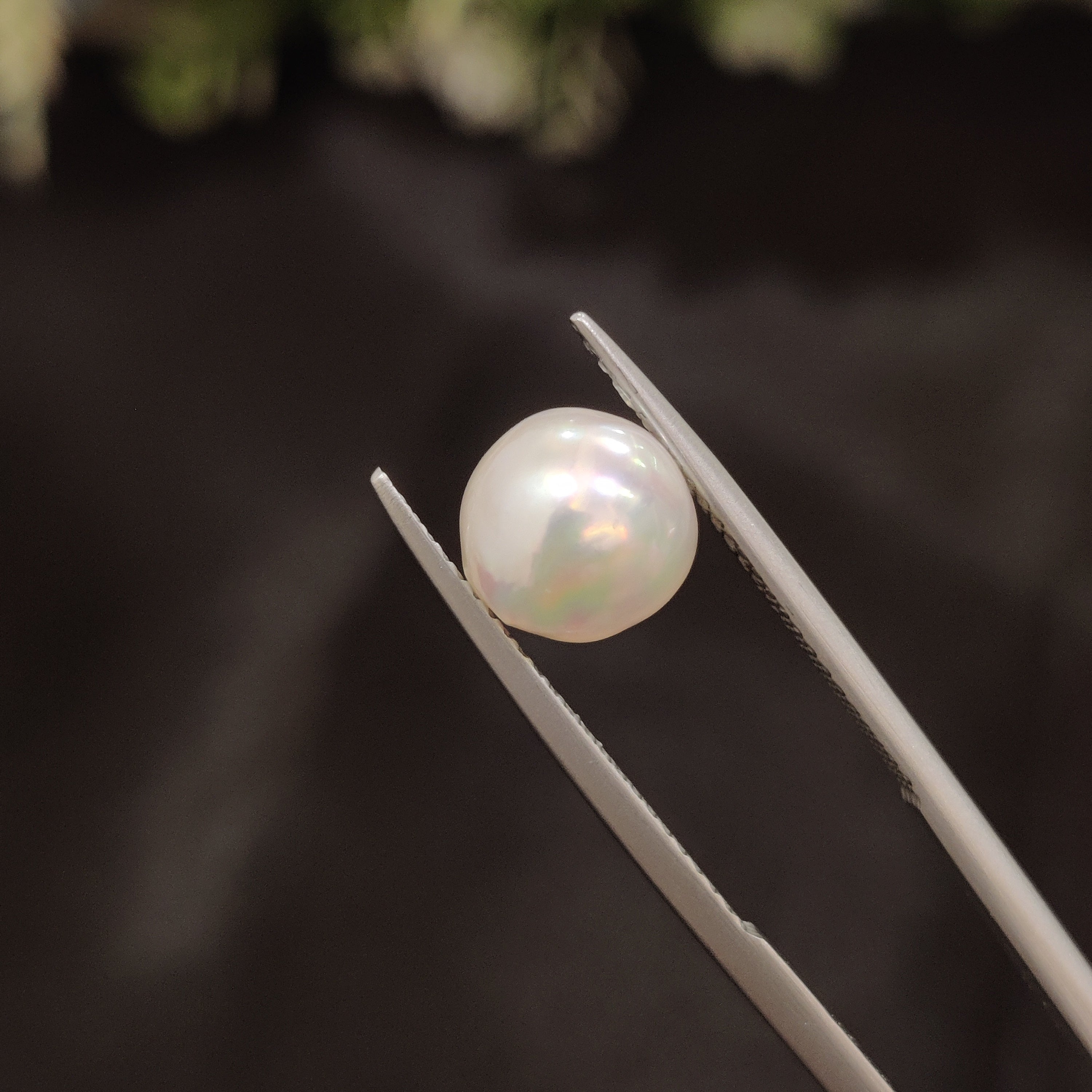 Pearl | Pearl 69 | 4.19 Carat