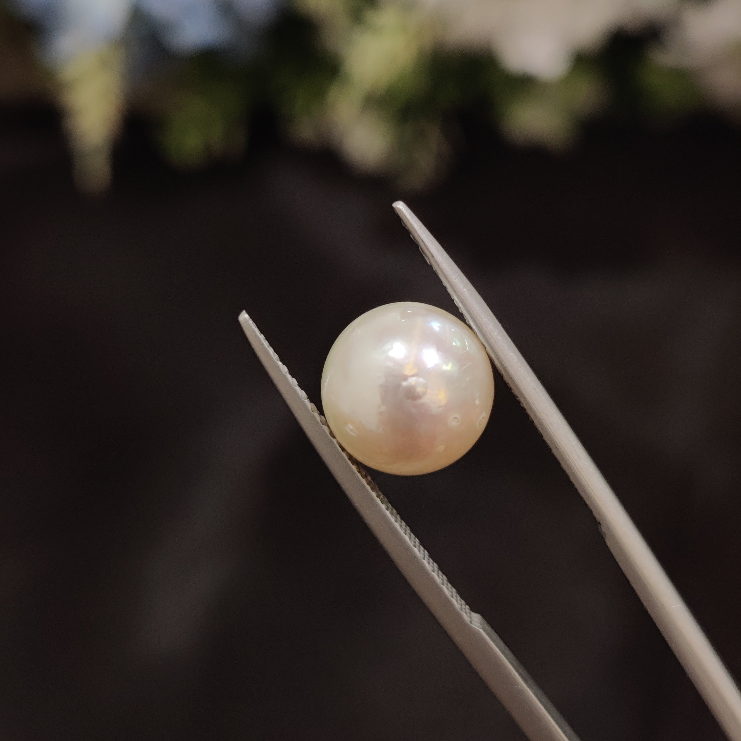 Pearl | Pearl 118 | 5.8 Carat