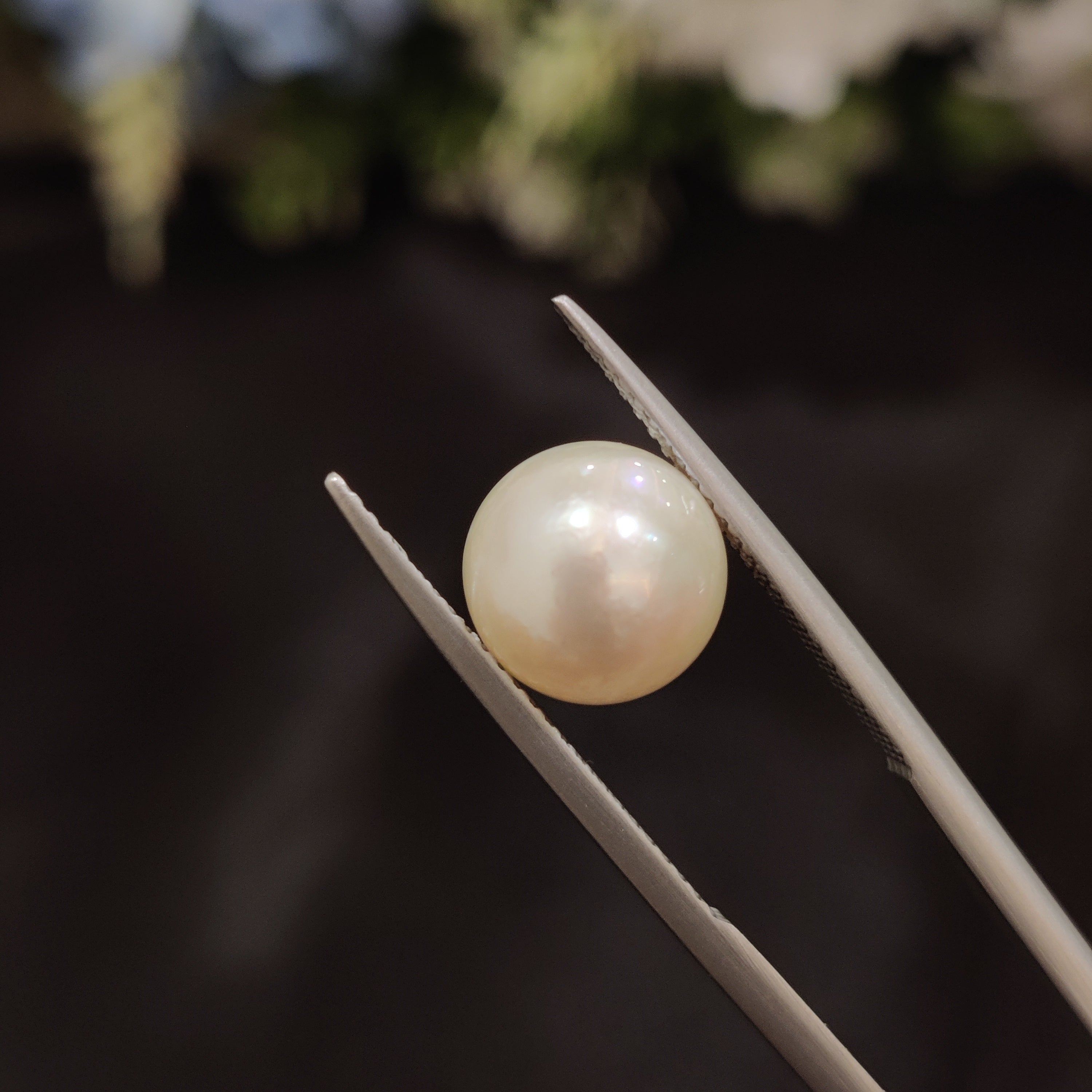 Pearl | Pearl 118 | 5.8 Carat