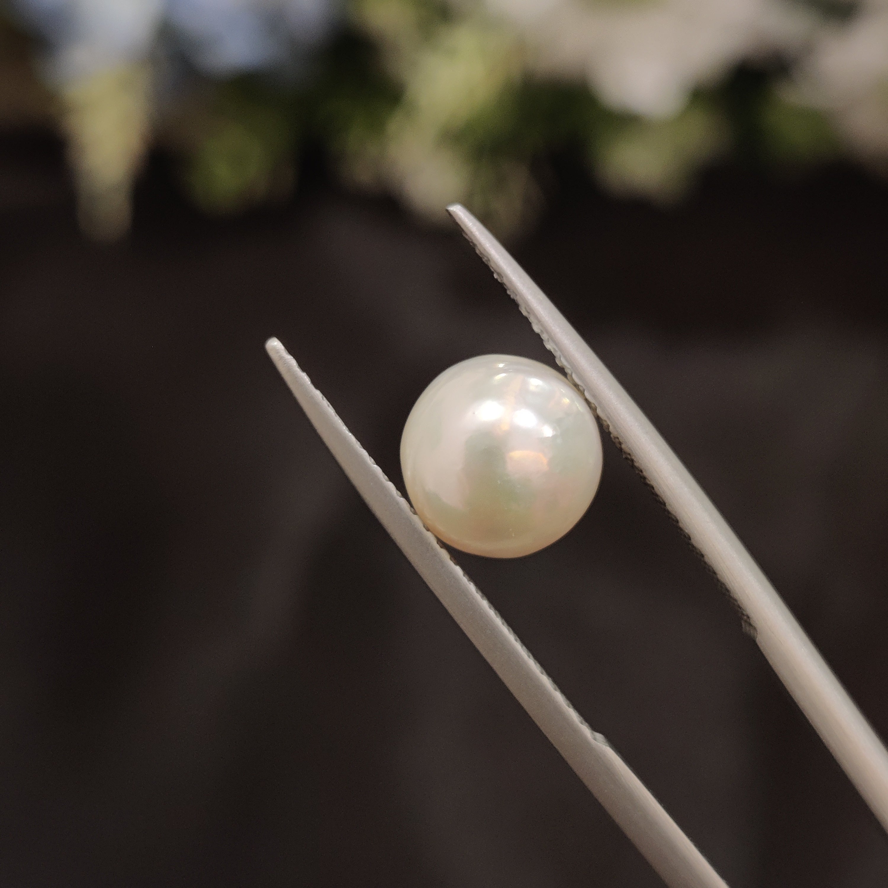 Pearl | Pearl 75 | 3.96 Carat