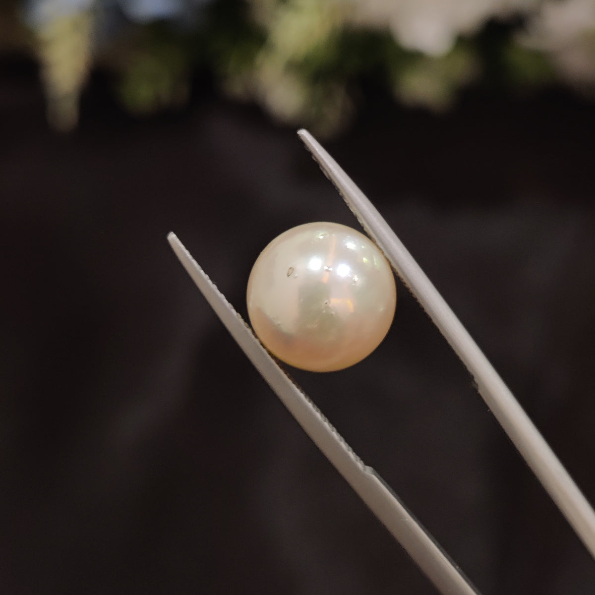 Natural Pearl (Moti) | Pearl 47 | 7.83 Carat | Certified