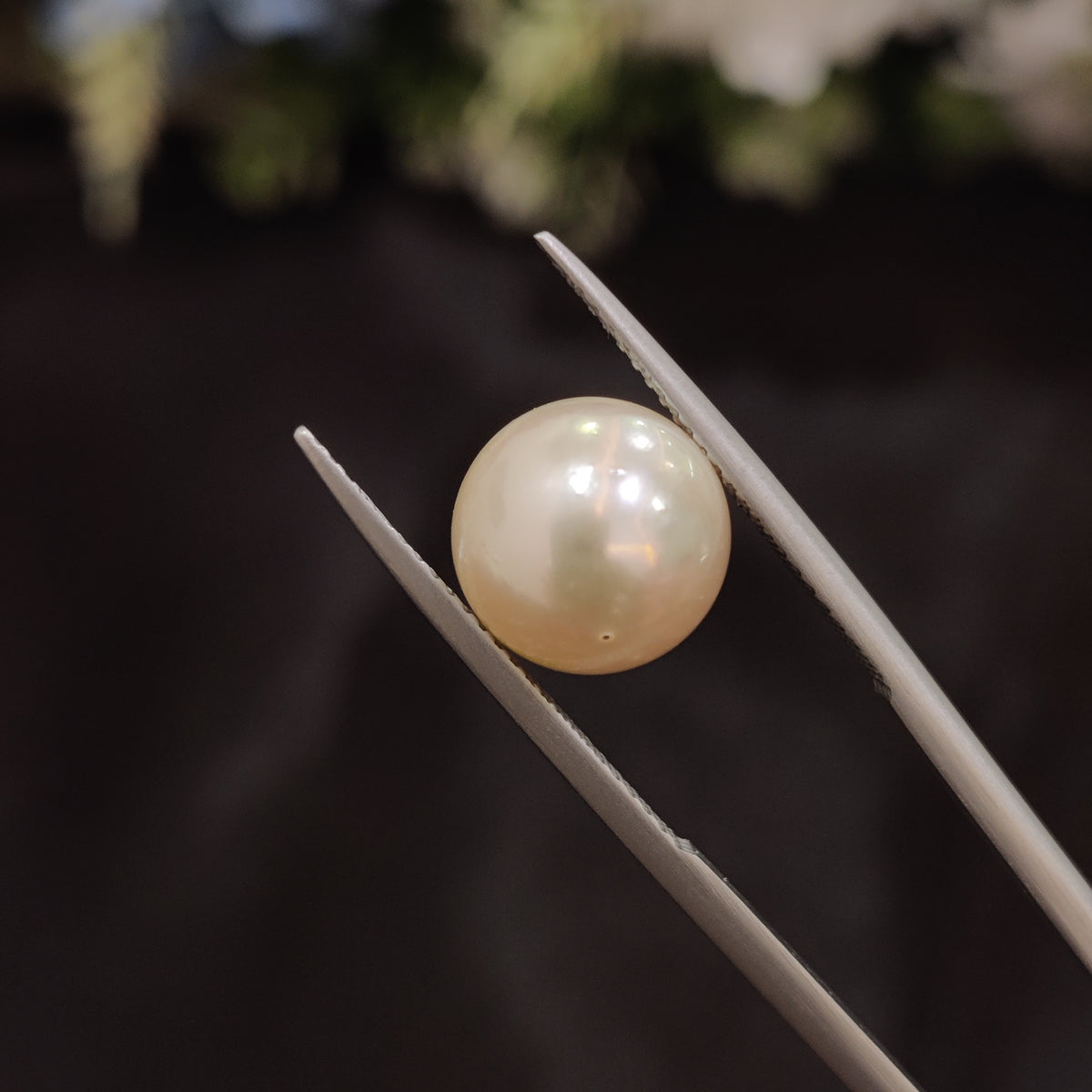 Natural Pearl (Moti) | Pearl 47 | 7.83 Carat | Certified