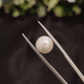 Pearl | Pearl 63 | 4.54 Carat