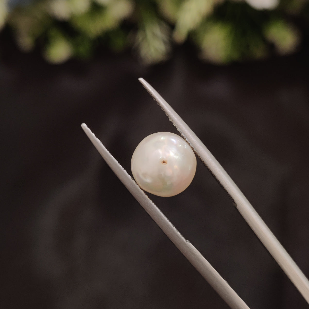 Natural Pearl (Moti) | Pearl 63 | 4.54 Carat | Certified