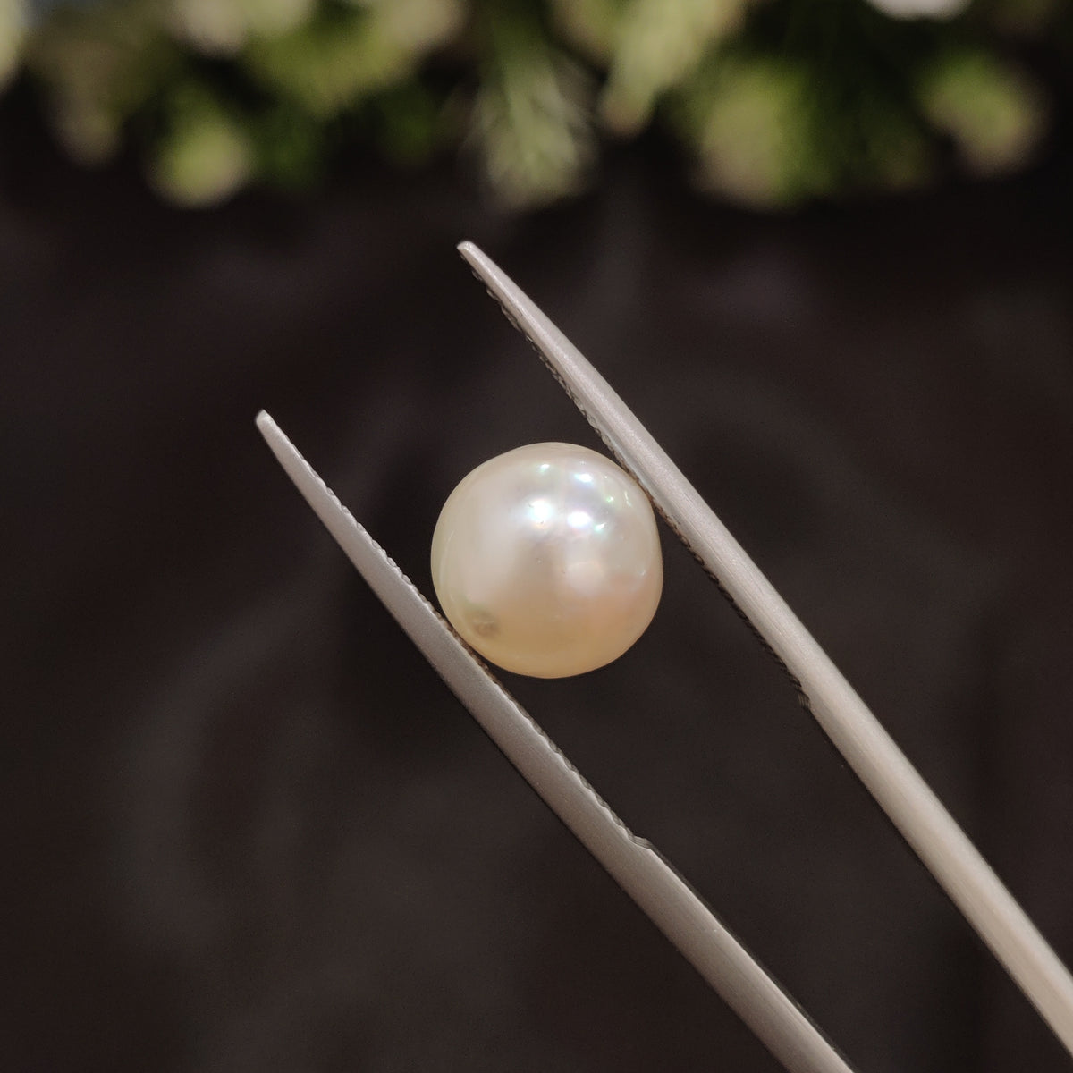 Natural Pearl (Moti) | Pearl 63 | 4.54 Carat | Certified
