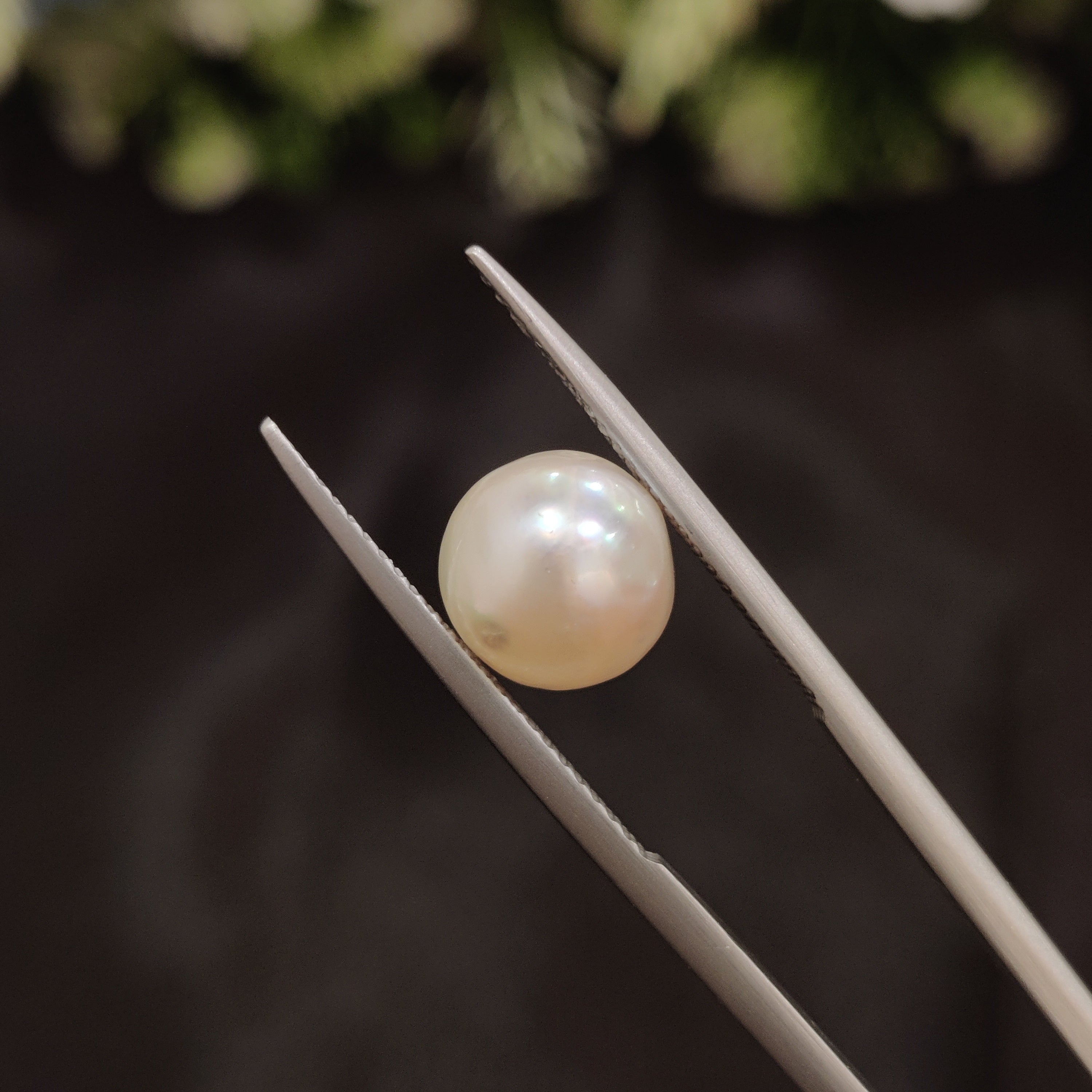 Pearl | Pearl 63 | 4.54 Carat