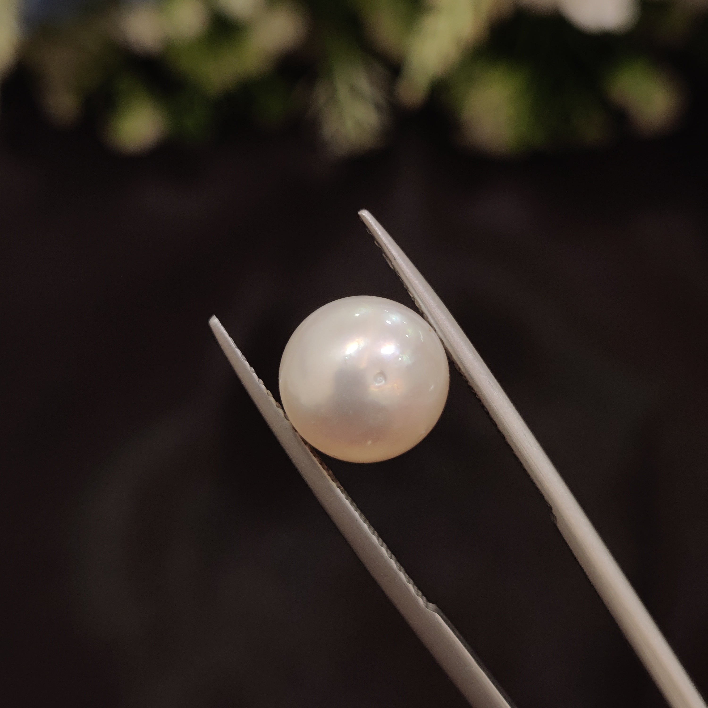 Pearl | Pearl 91 | 6.49 Carat
