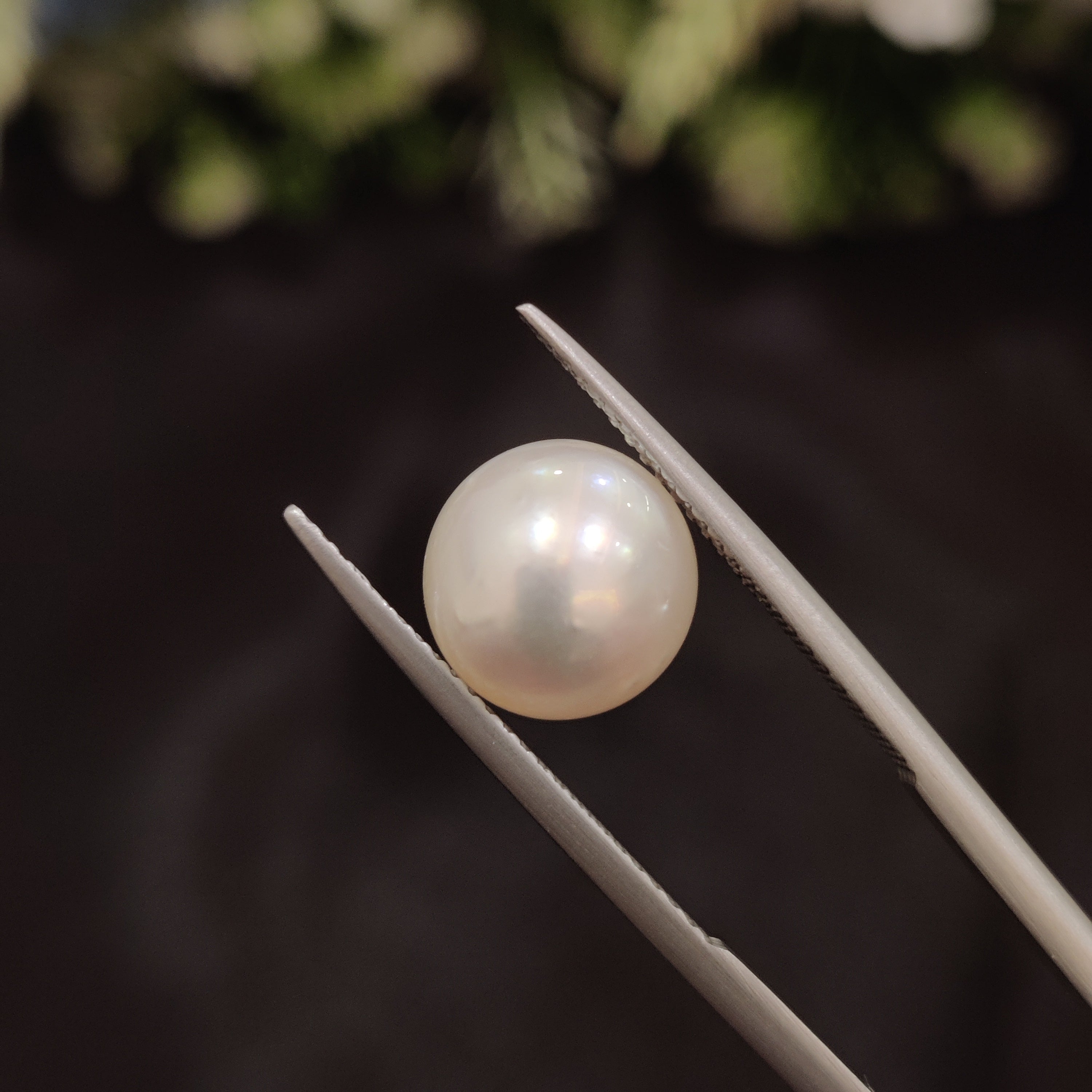 Pearl | Pearl 91 | 6.49 Carat