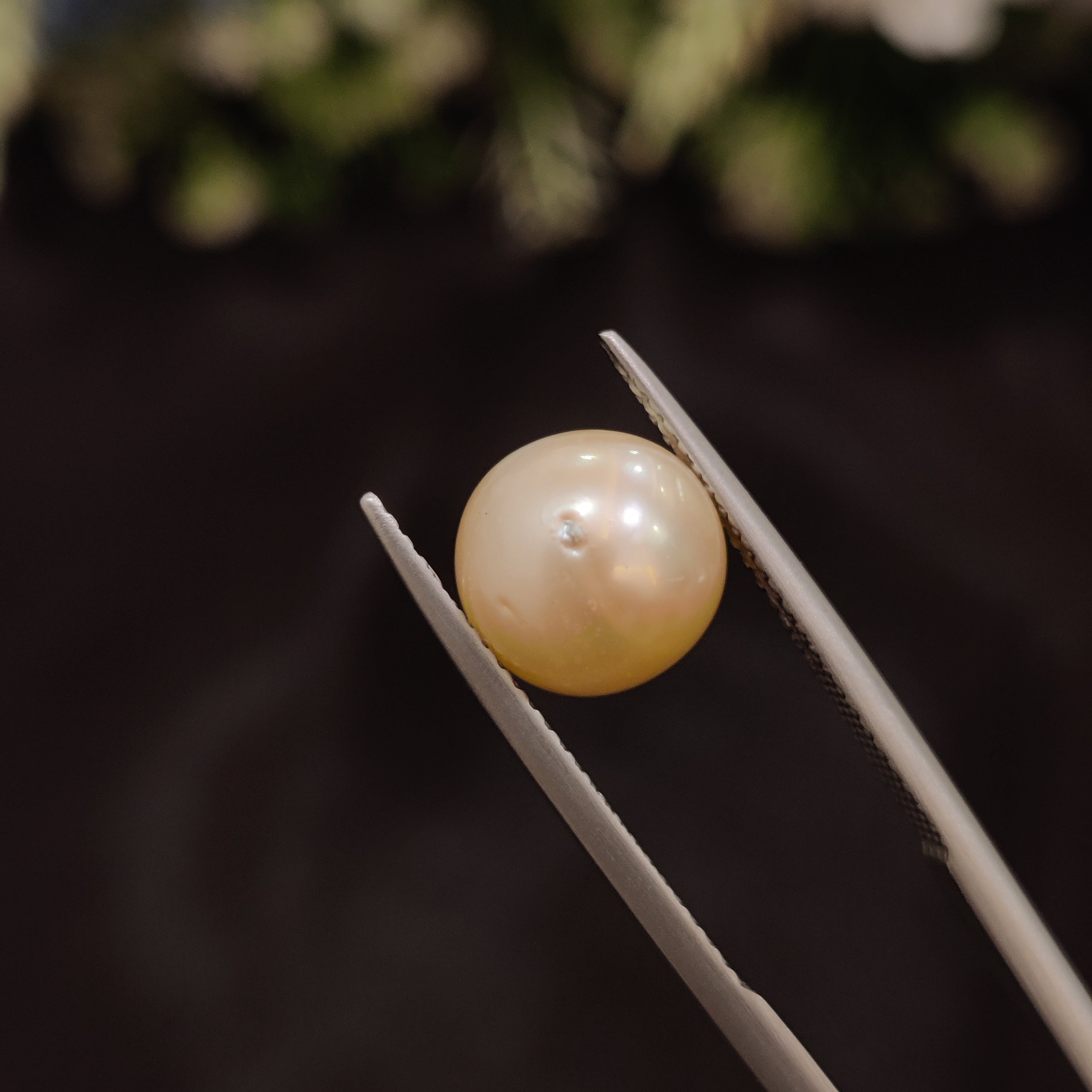 Pearl | Pearl 103 | 5.36 Carat