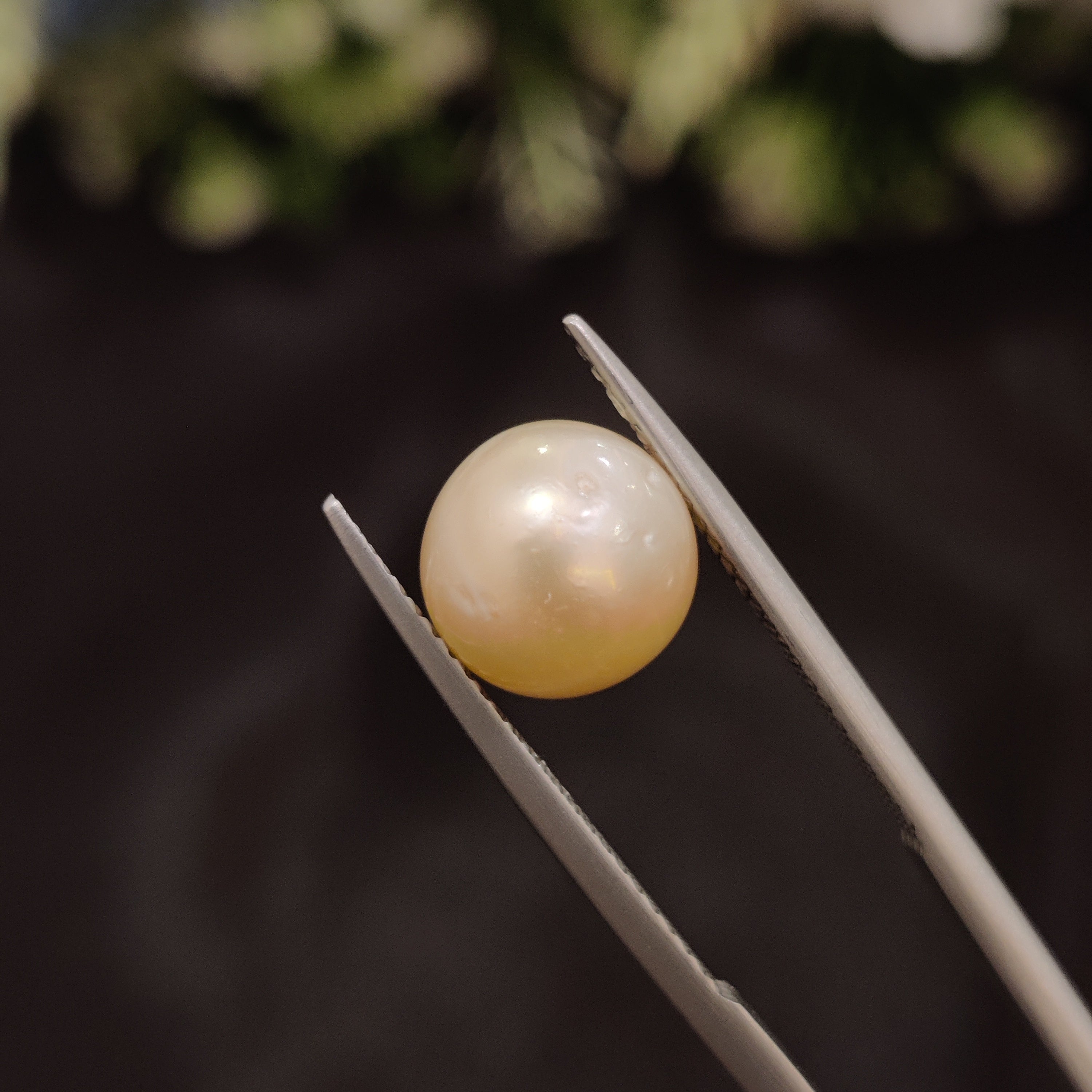 Pearl | Pearl 103 | 5.36 Carat