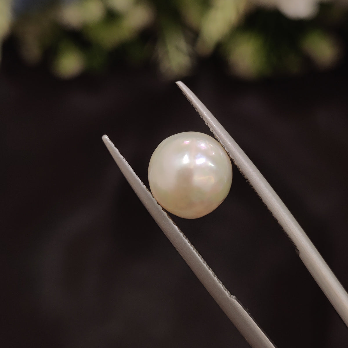 Natural Pearl (Moti) | Pearl 65 | 4.76 Carat | Certified
