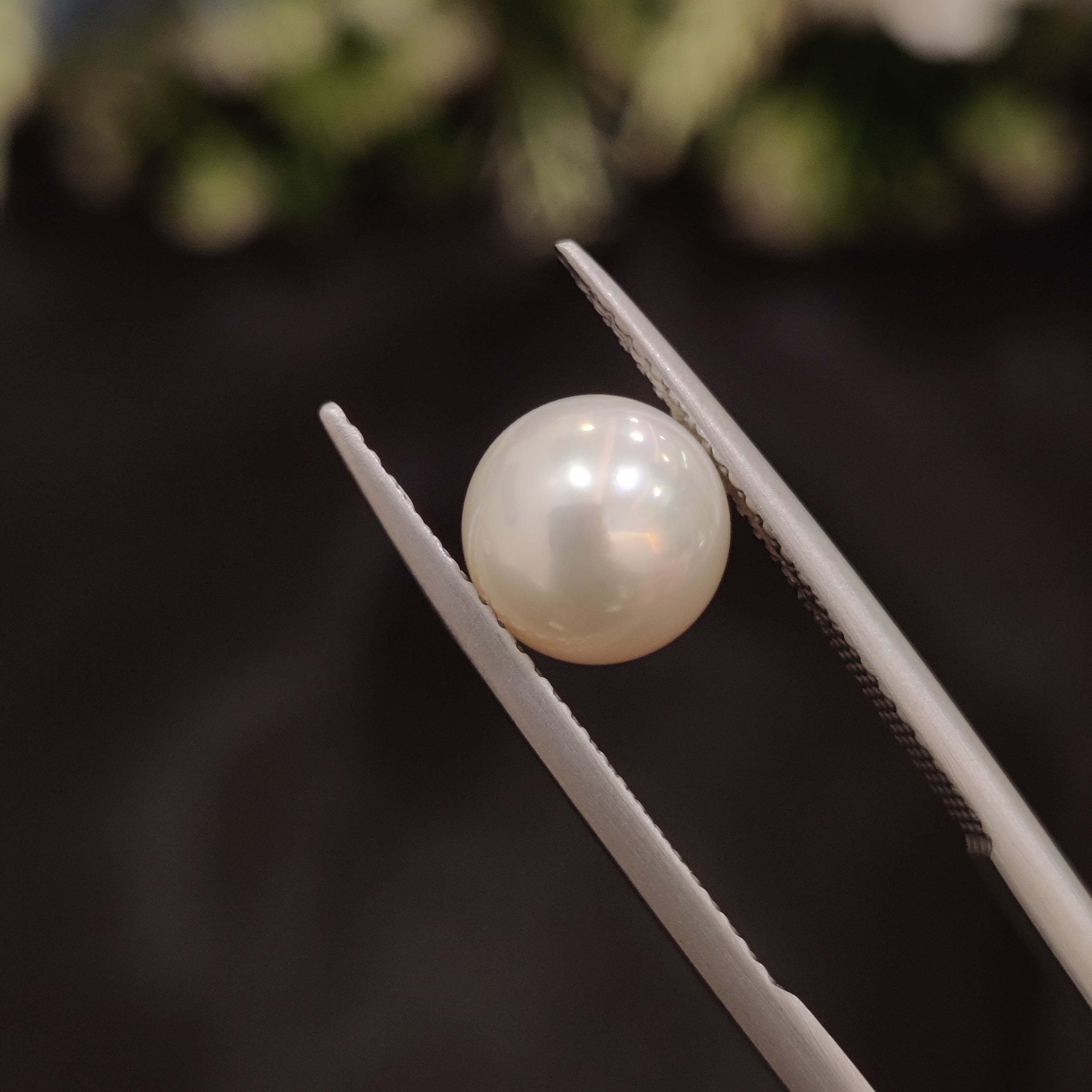 Pearl | Pearl 61 | 3.66 Carat