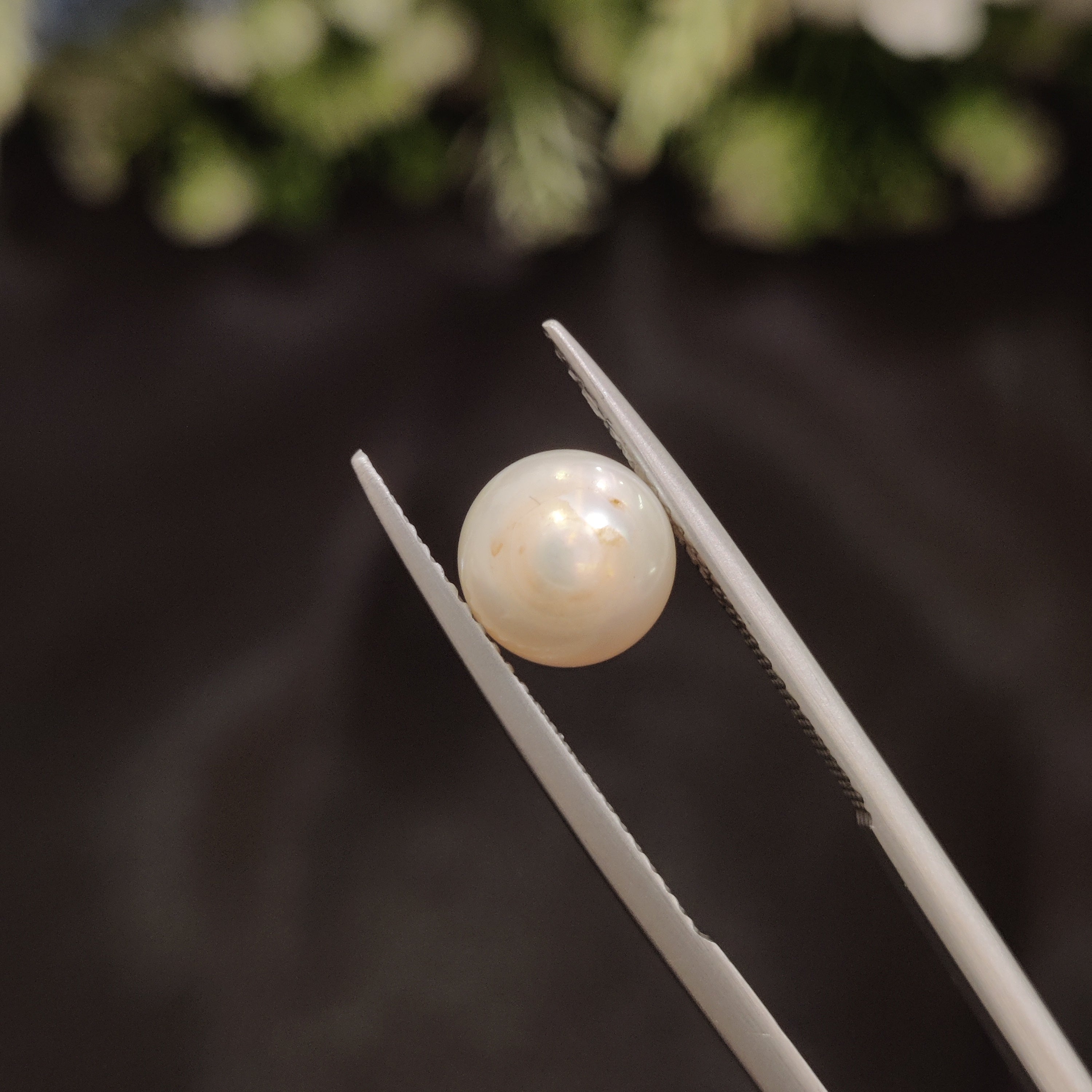 Pearl | Pearl 61 | 3.66 Carat