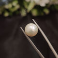 Pearl | Pearl 106 | 5.53 Carat