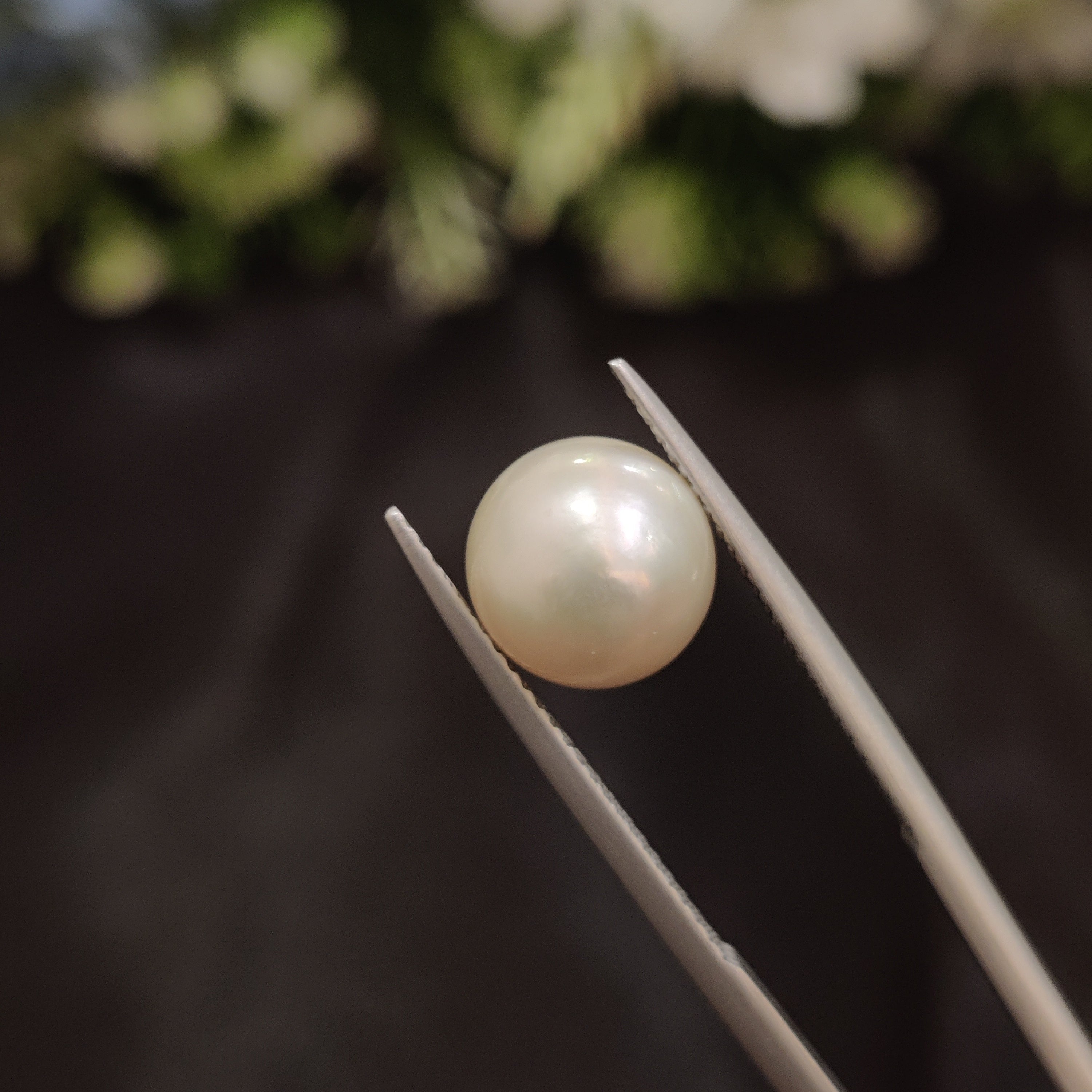 Pearl | Pearl 106 | 5.53 Carat