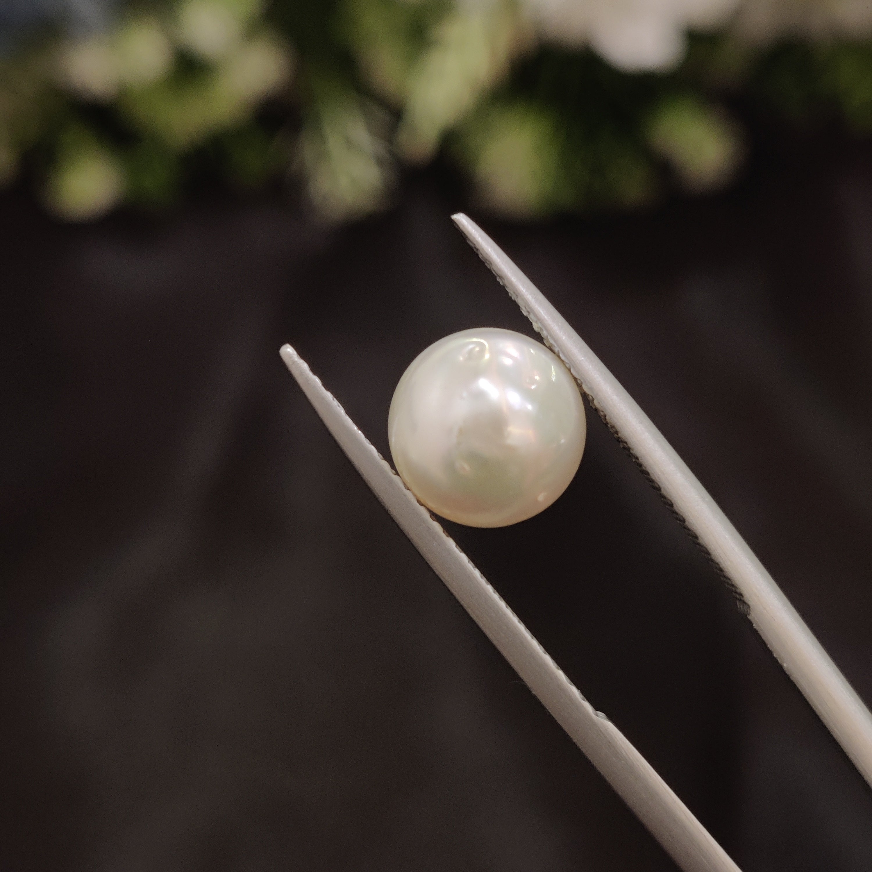 Pearl | Pearl 57 | 4.29 Carat