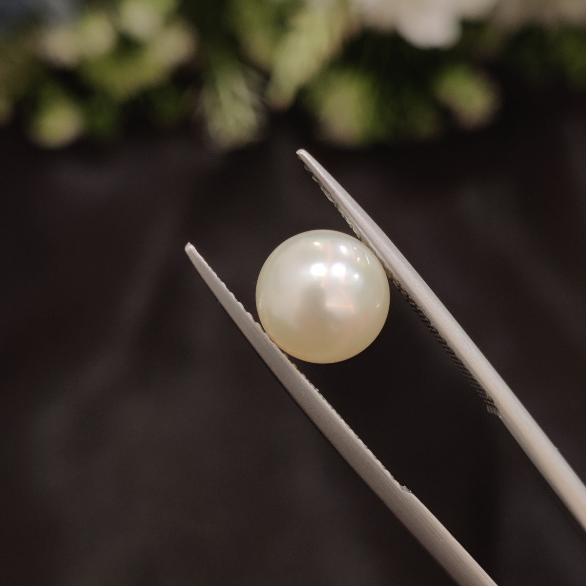 Natural Pearl (Moti) | Pearl 57 | 4.29 Carat | Certified