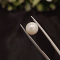 Pearl | Pearl 88 | 3.36 Carat