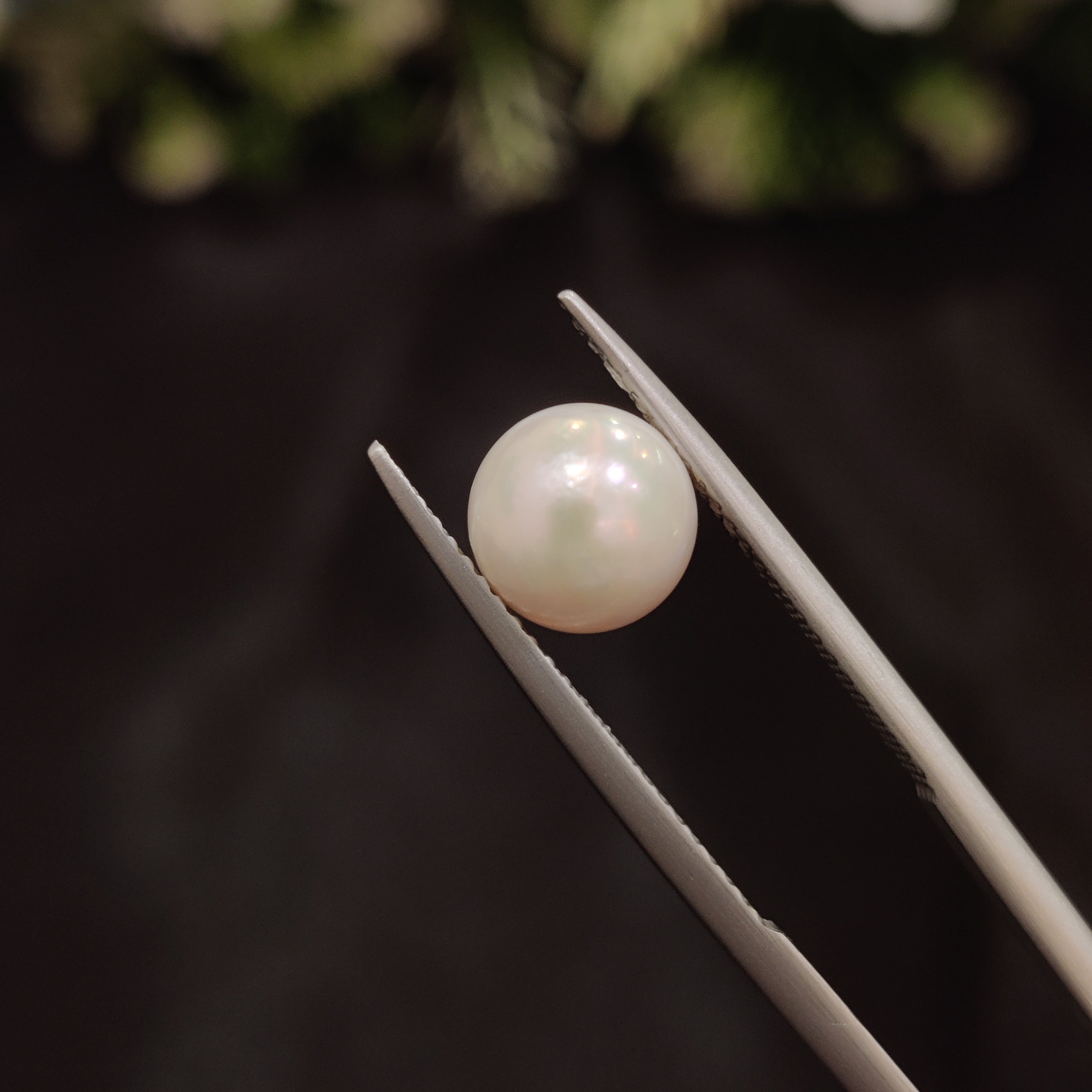 Pearl | Pearl 88 | 3.36 Carat