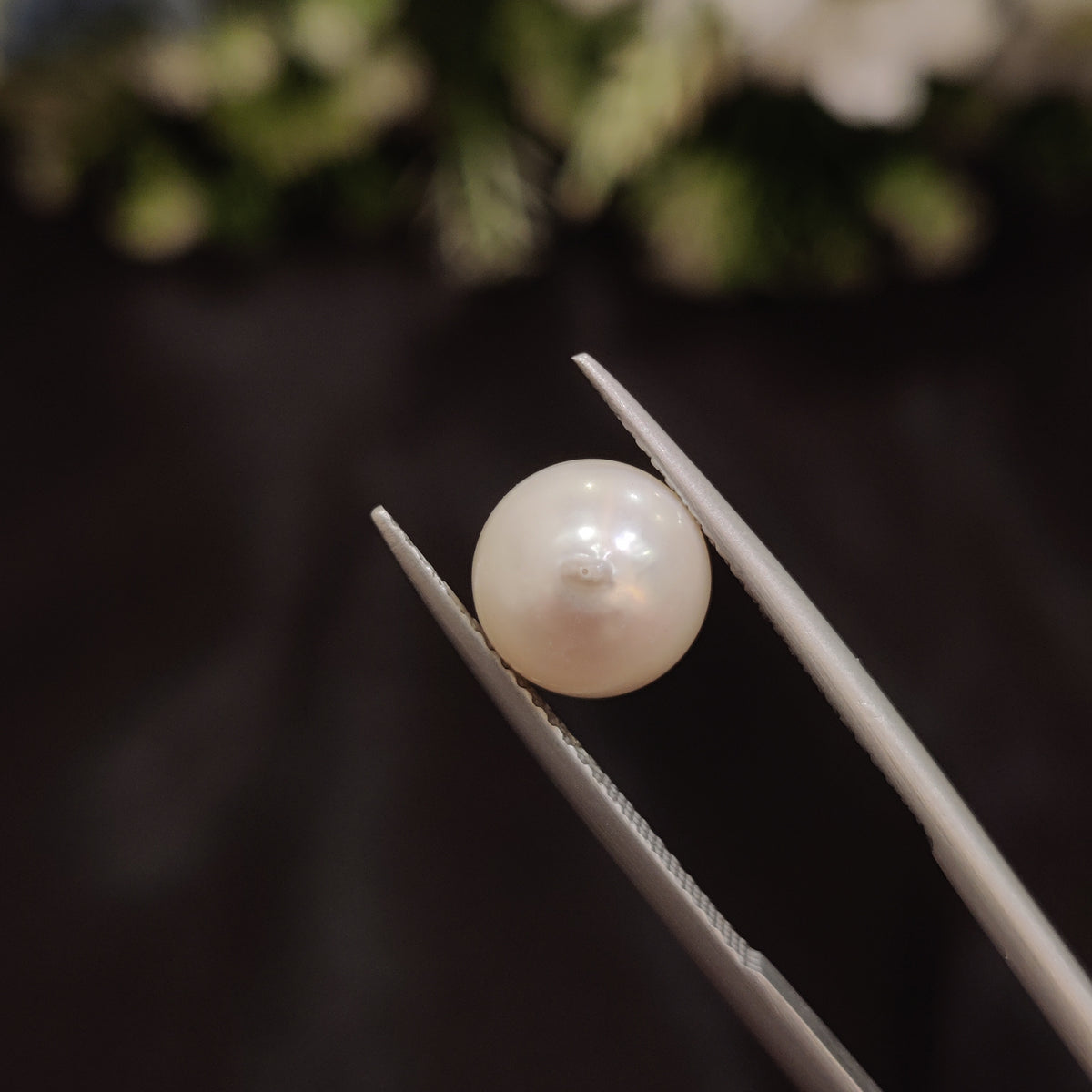Natural Pearl (Moti) | Pearl 55 | 4.57 Carat | Certified