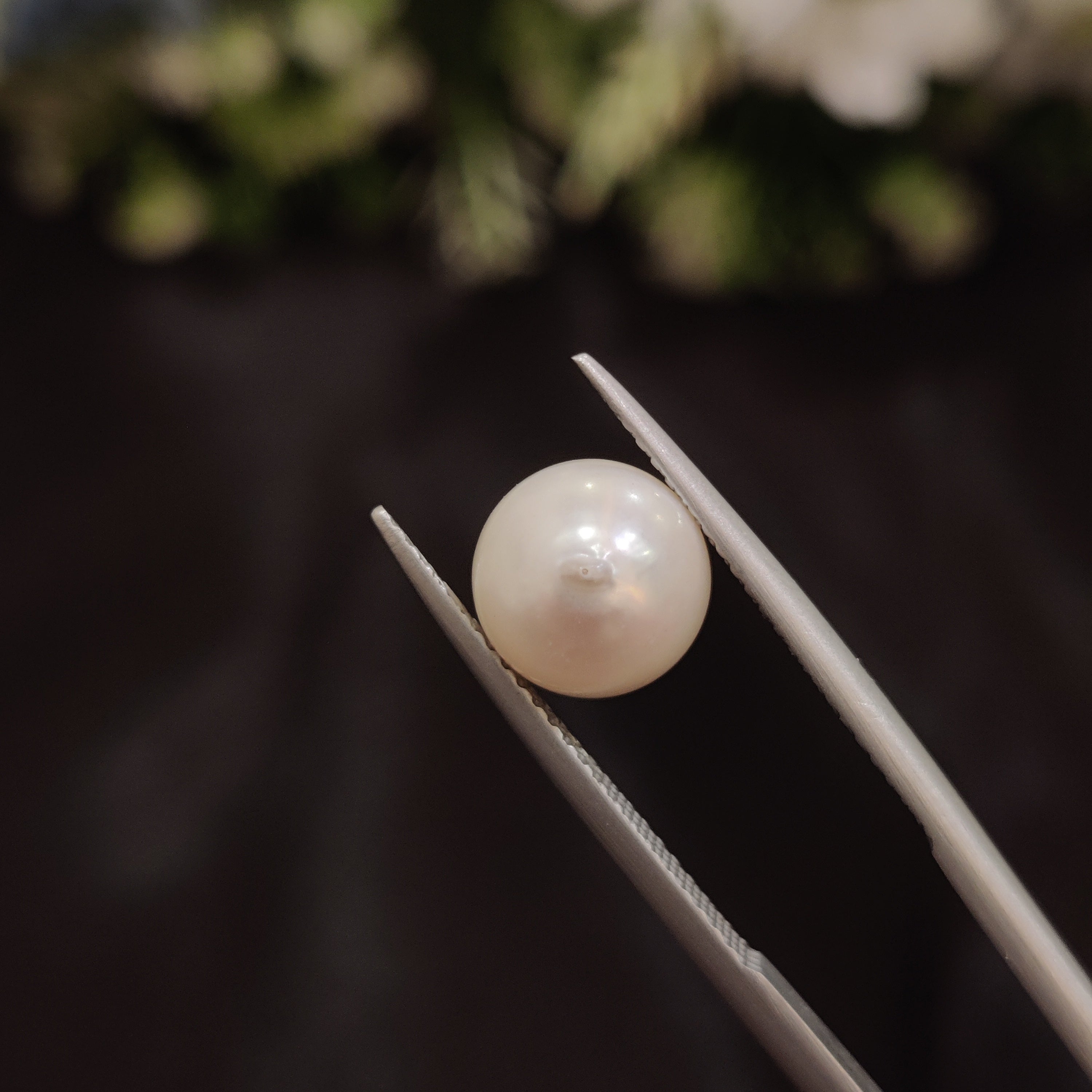 Pearl | Pearl 55 | 4.57 Carat