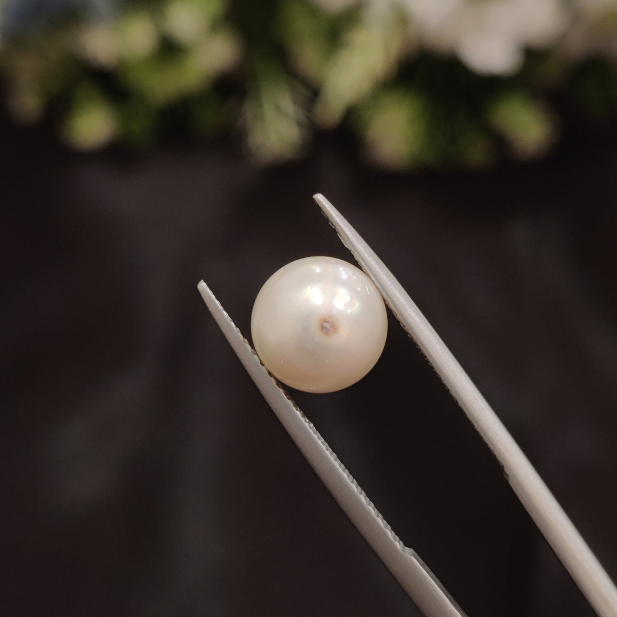 Natural Pearl (Moti) | Pearl 55 | 4.57 Carat | Certified